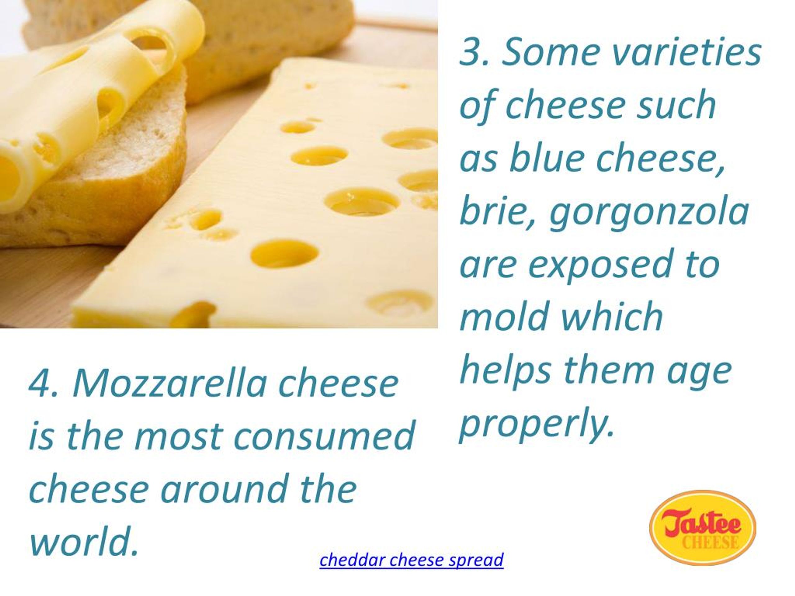 PPT 10 Interesting Facts About Cheese PowerPoint Presentation, free