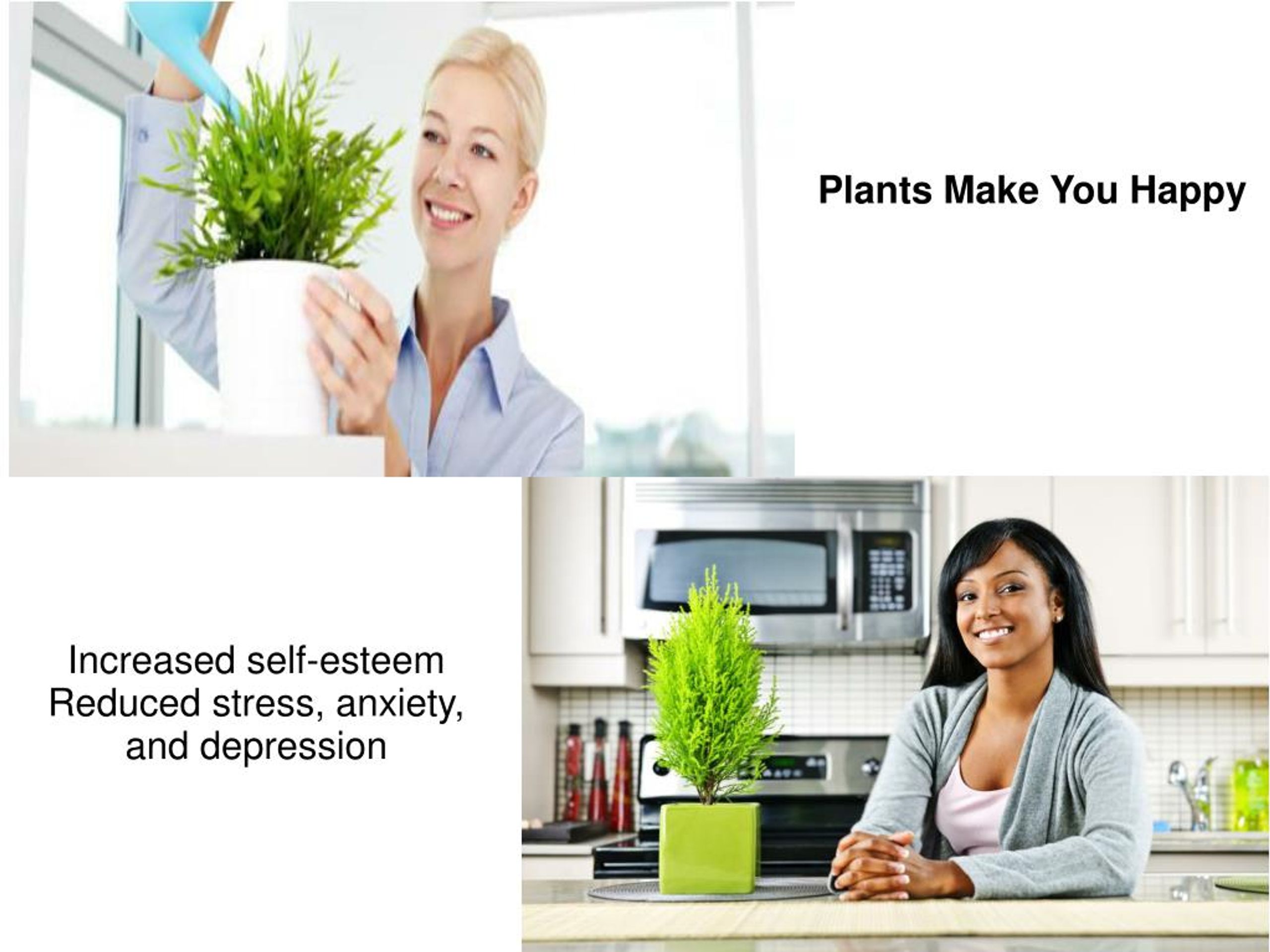PPT Amazing Health Benefits Of Indoor Flowers & Plants PowerPoint