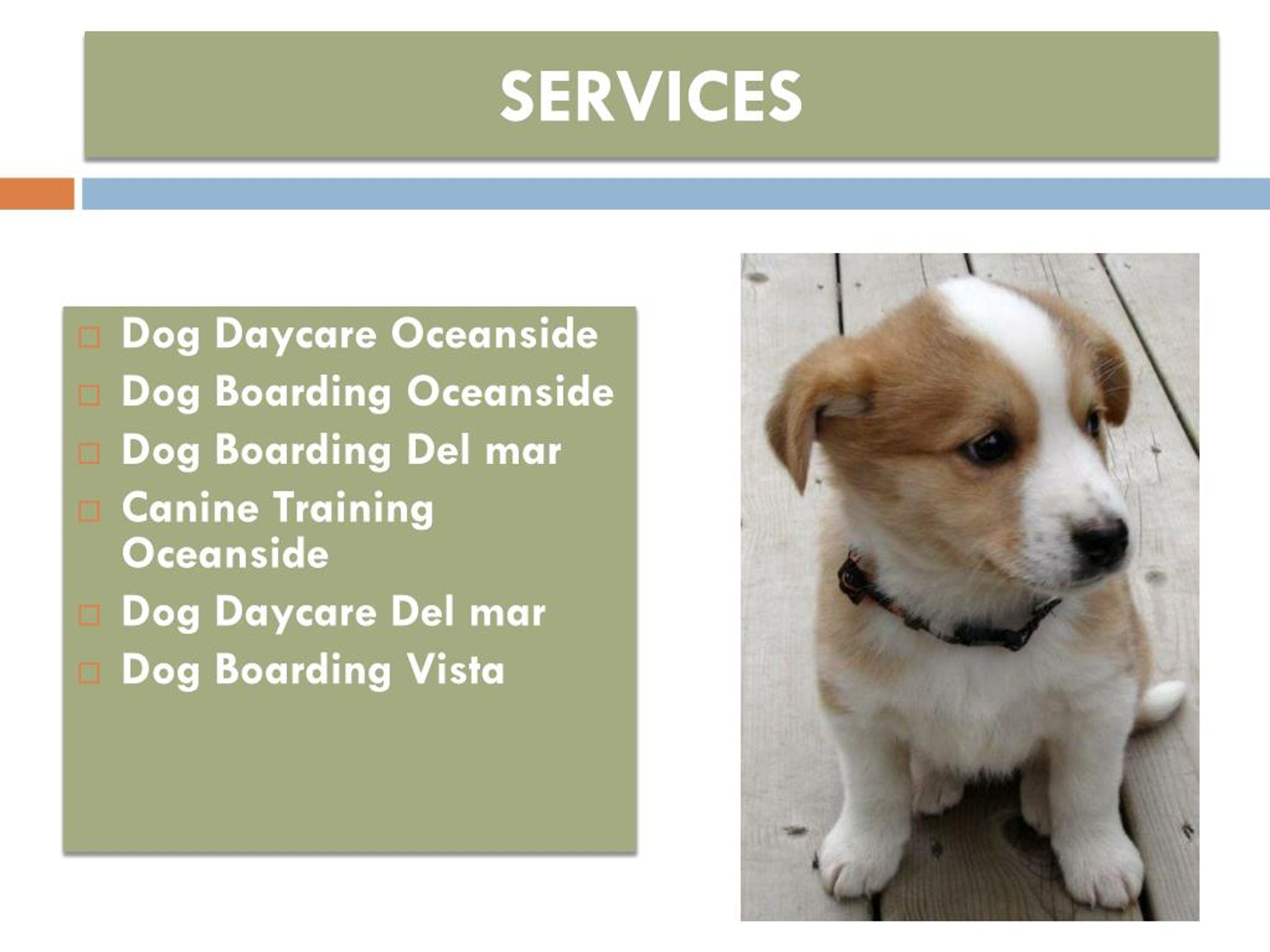 PPT Canine Training Oceanside Dog Boarding Vista PowerPoint