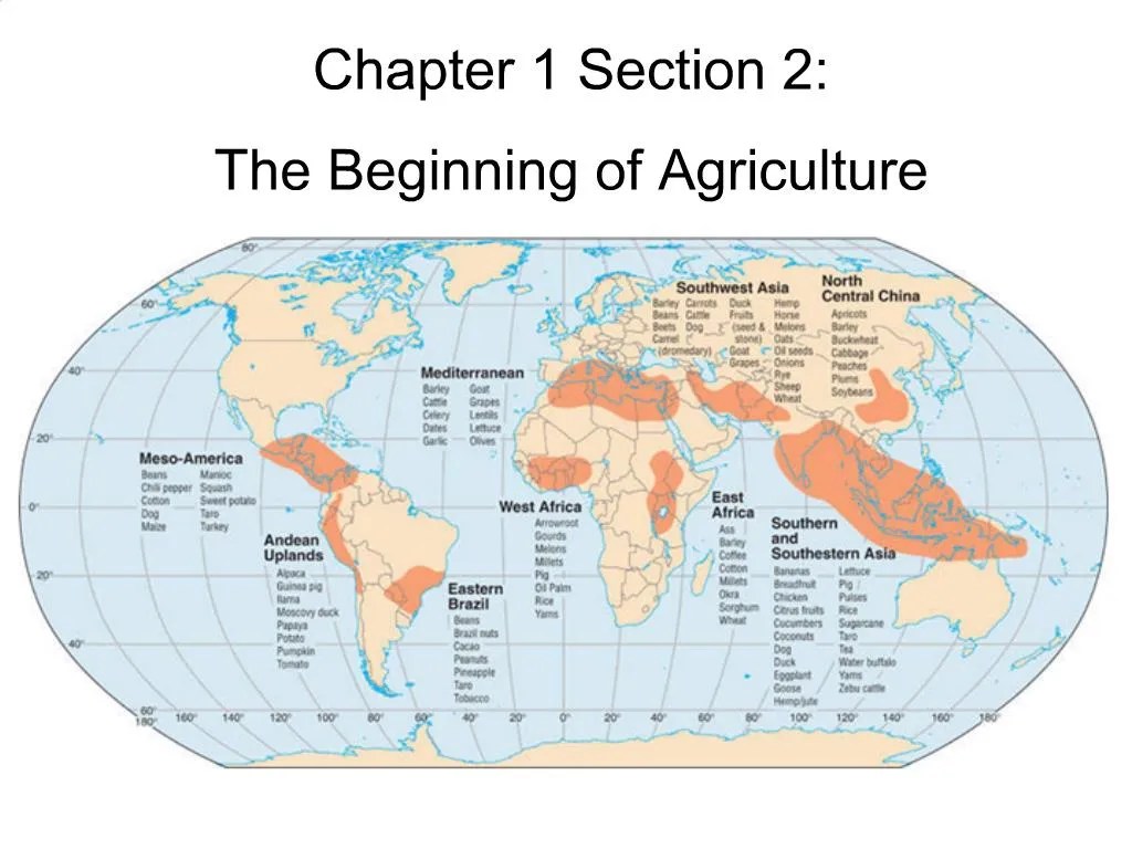 PPT Chapter 1 Section 2 The Beginning of Agriculture PowerPoint