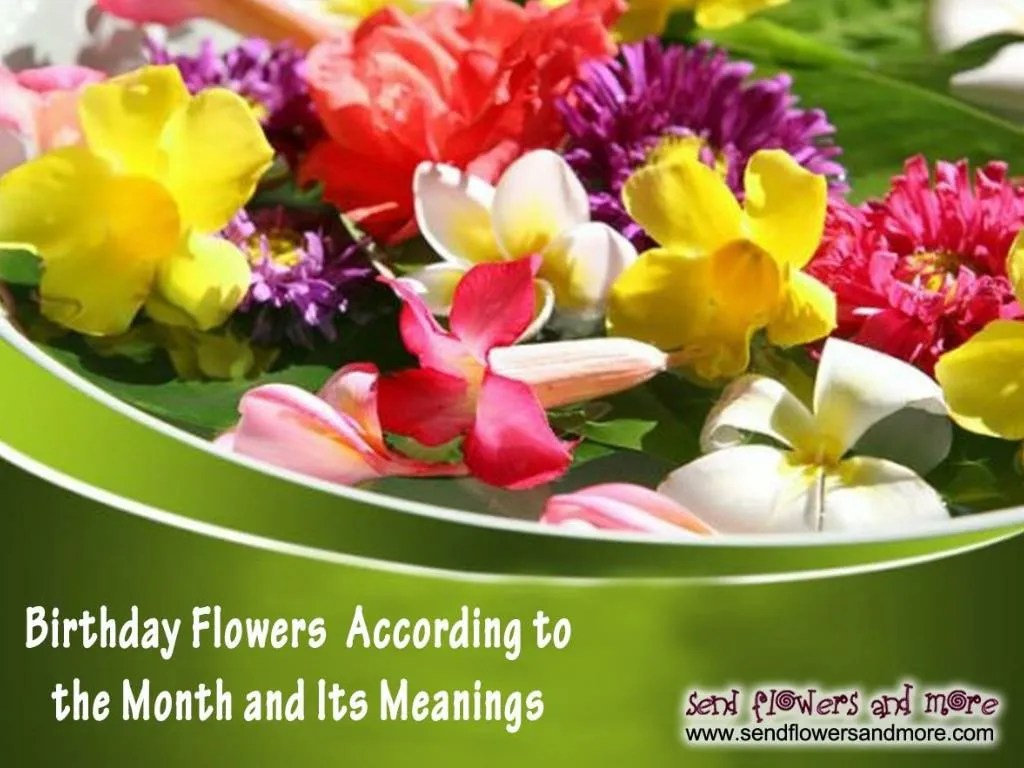 PPT Send Birthday Flowers According to the Month and Its Meanings PowerPoint Presentation ID