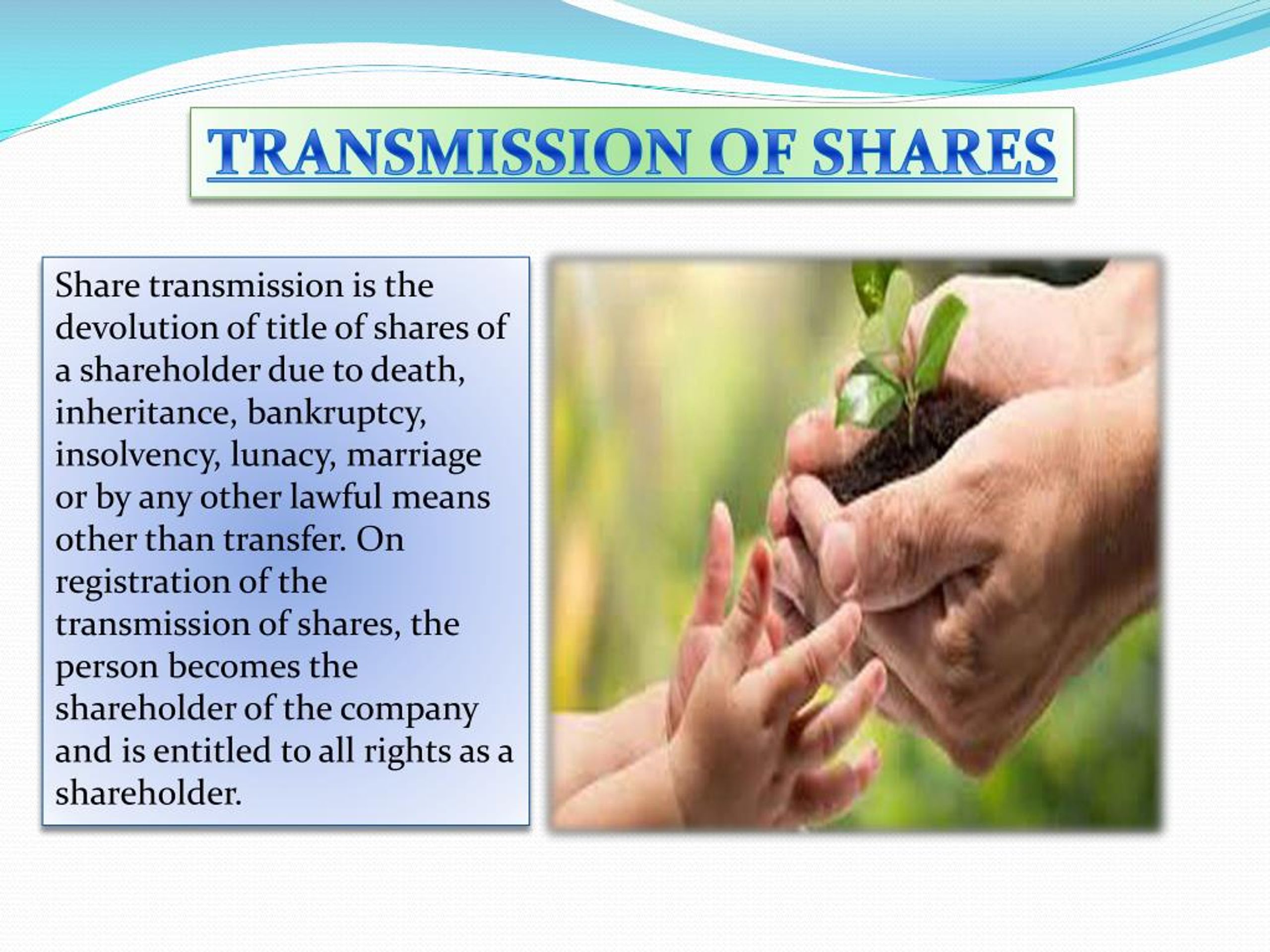 PPT Transfer of Share PowerPoint Presentation, free download ID7349848