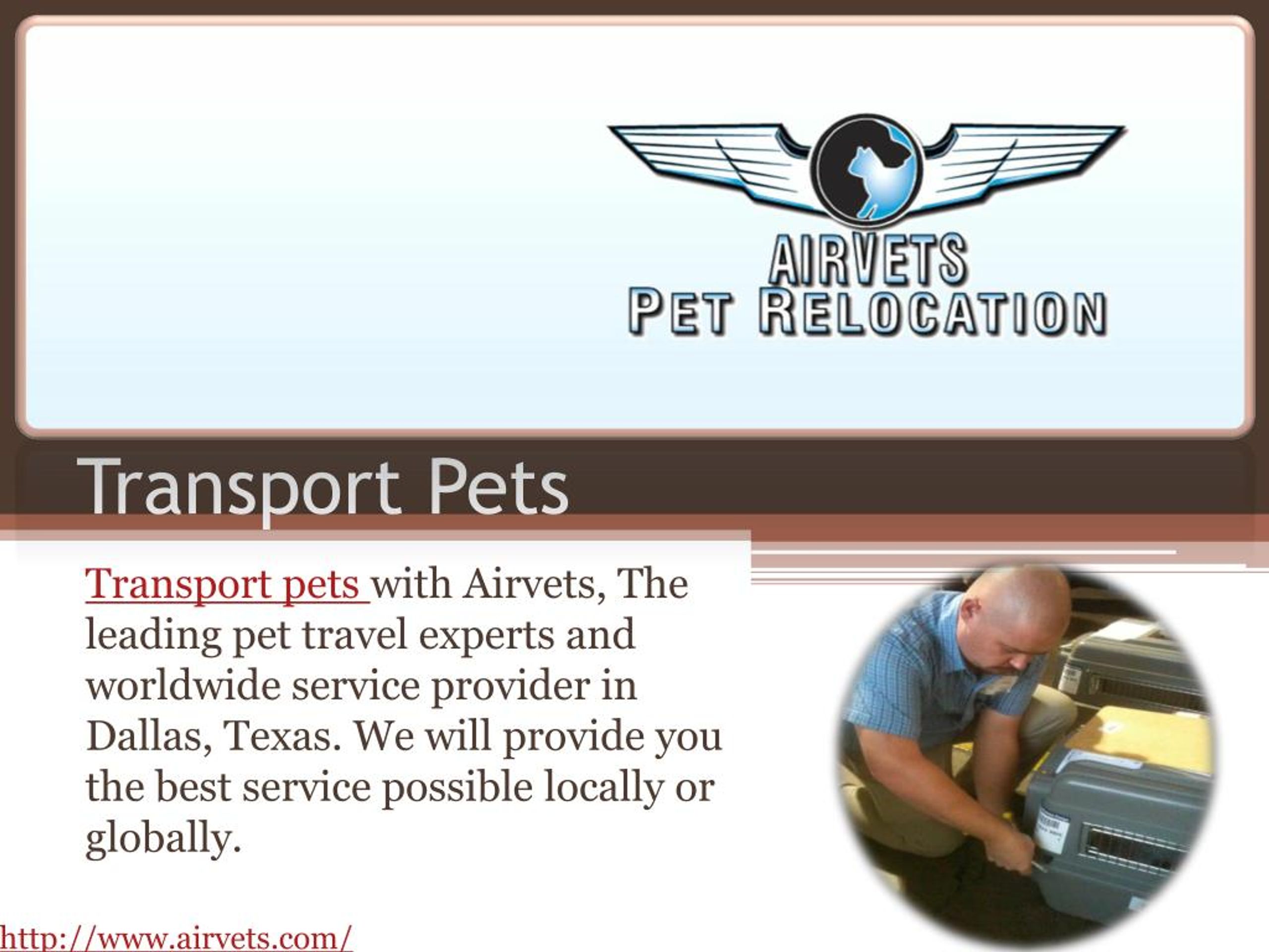 PPT Pet Transport PowerPoint Presentation, free download ID7349850