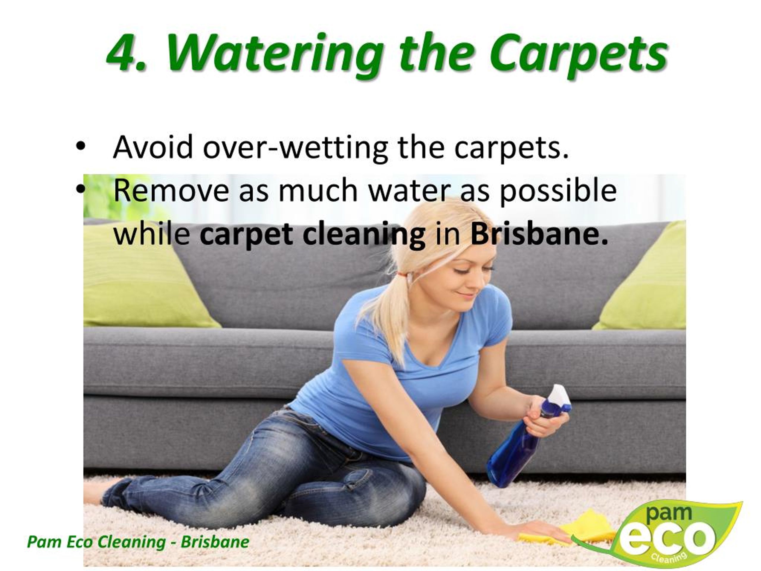 PPT Top 10 Carpet Cleaning Secrets PowerPoint Presentation, free