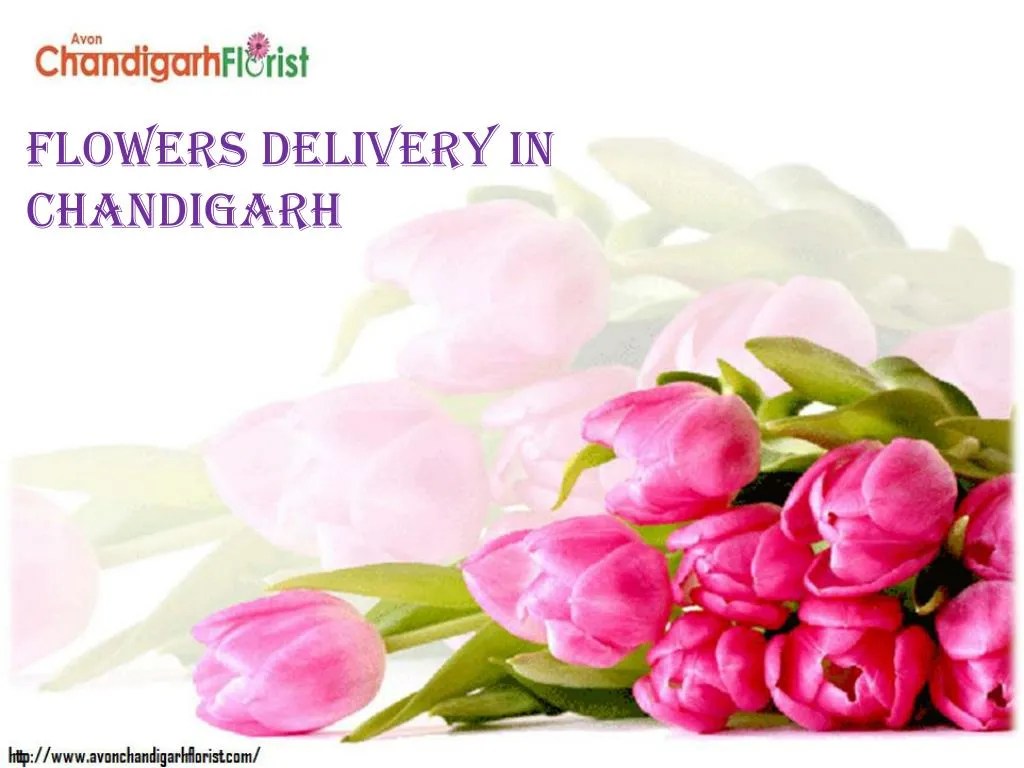 PPT Flowers Delivery in Chandigarh PowerPoint Presentation, free