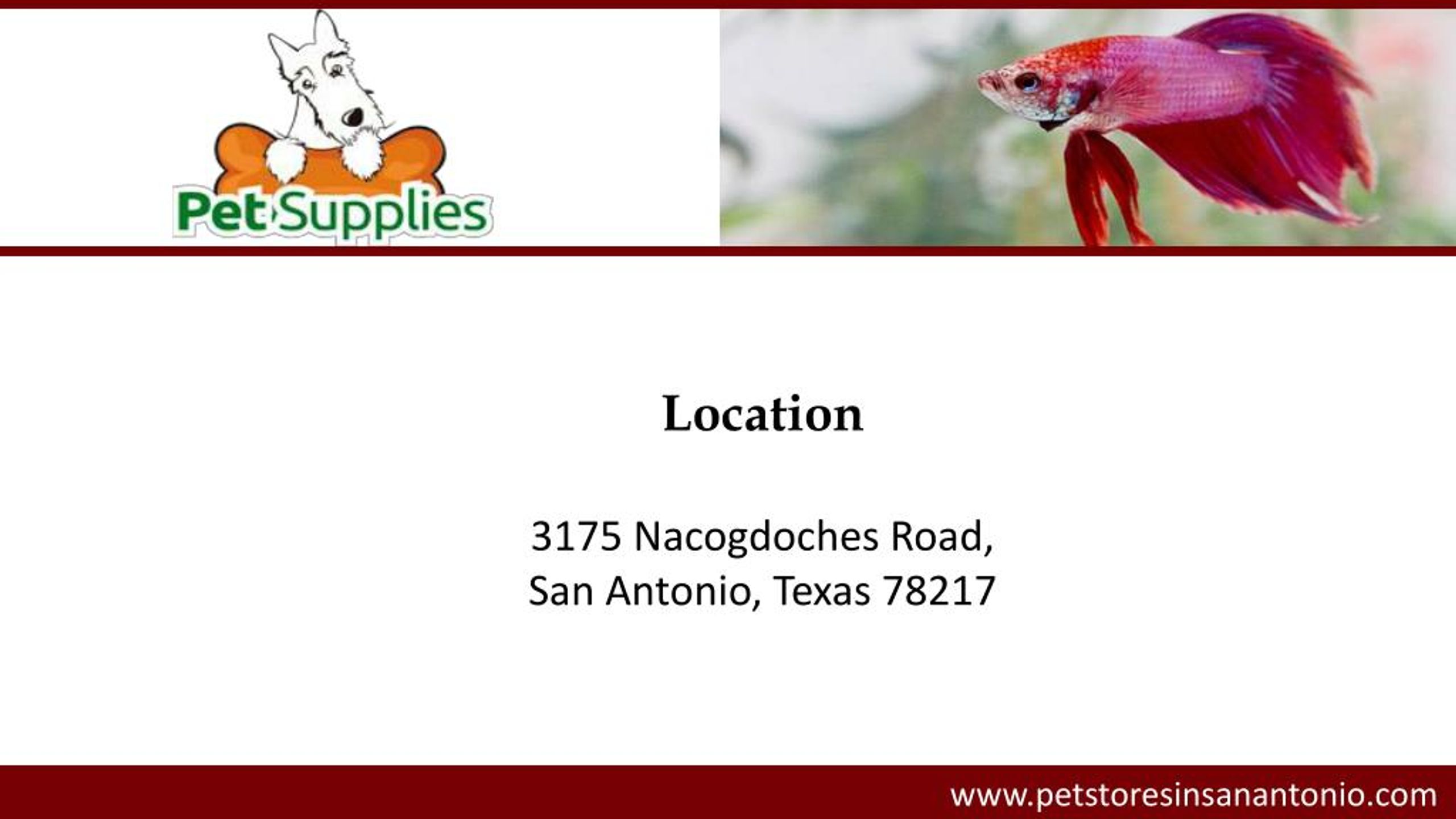 PPT Pet Stores In San Antonio, TX PowerPoint Presentation, free