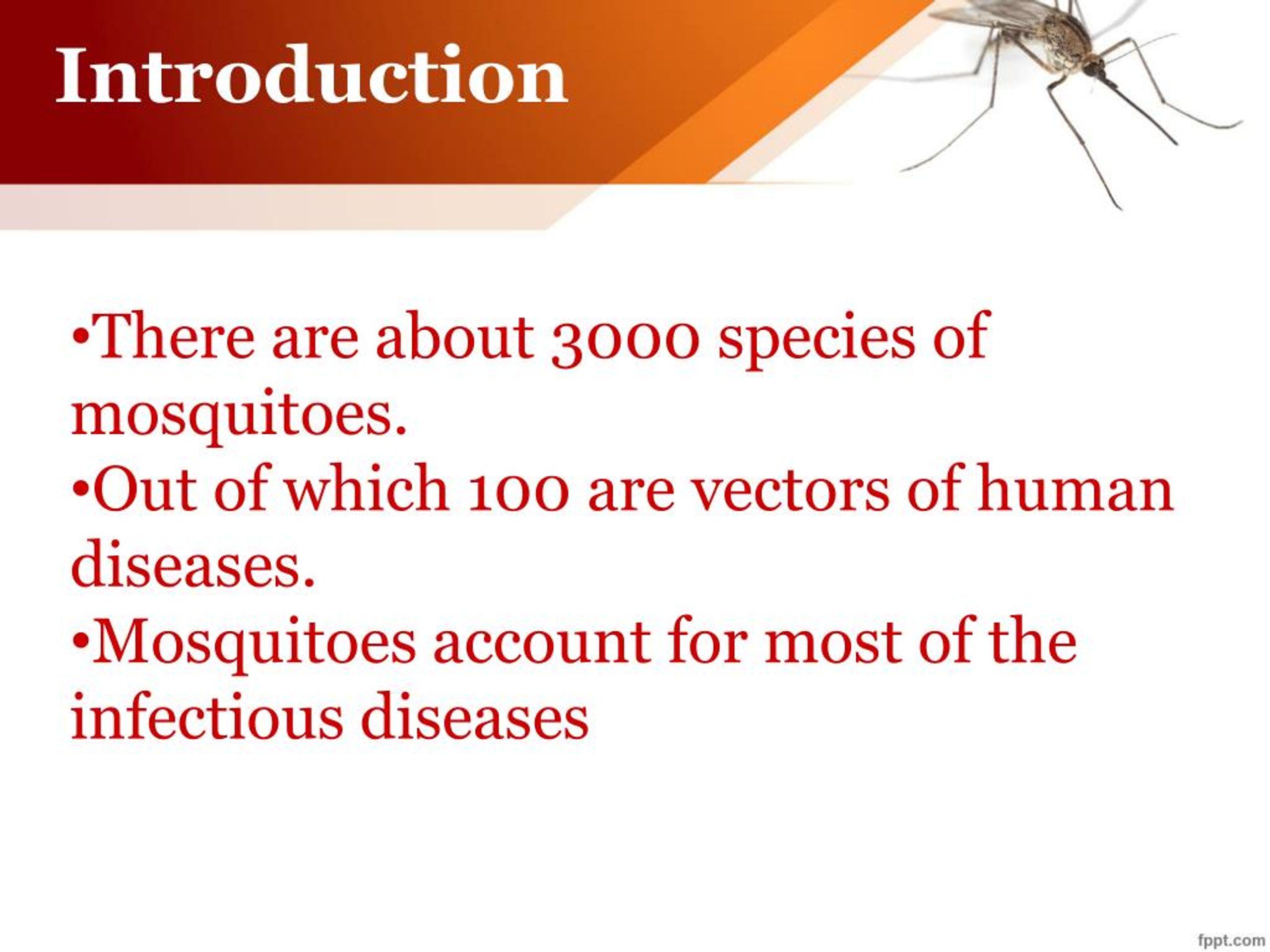 PPT Mosquitoes can be deadly PowerPoint Presentation, free download