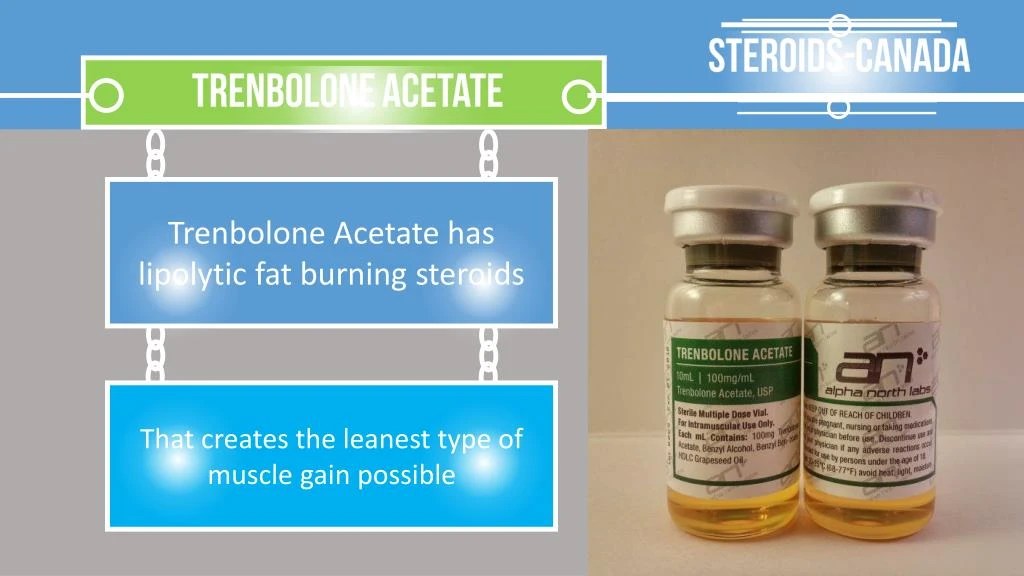 PPT Best Canadian Steroids For Sale At SteroidsCanada PowerPoint
