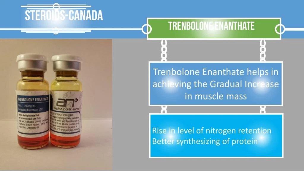 PPT Best Canadian Steroids For Sale At SteroidsCanada PowerPoint