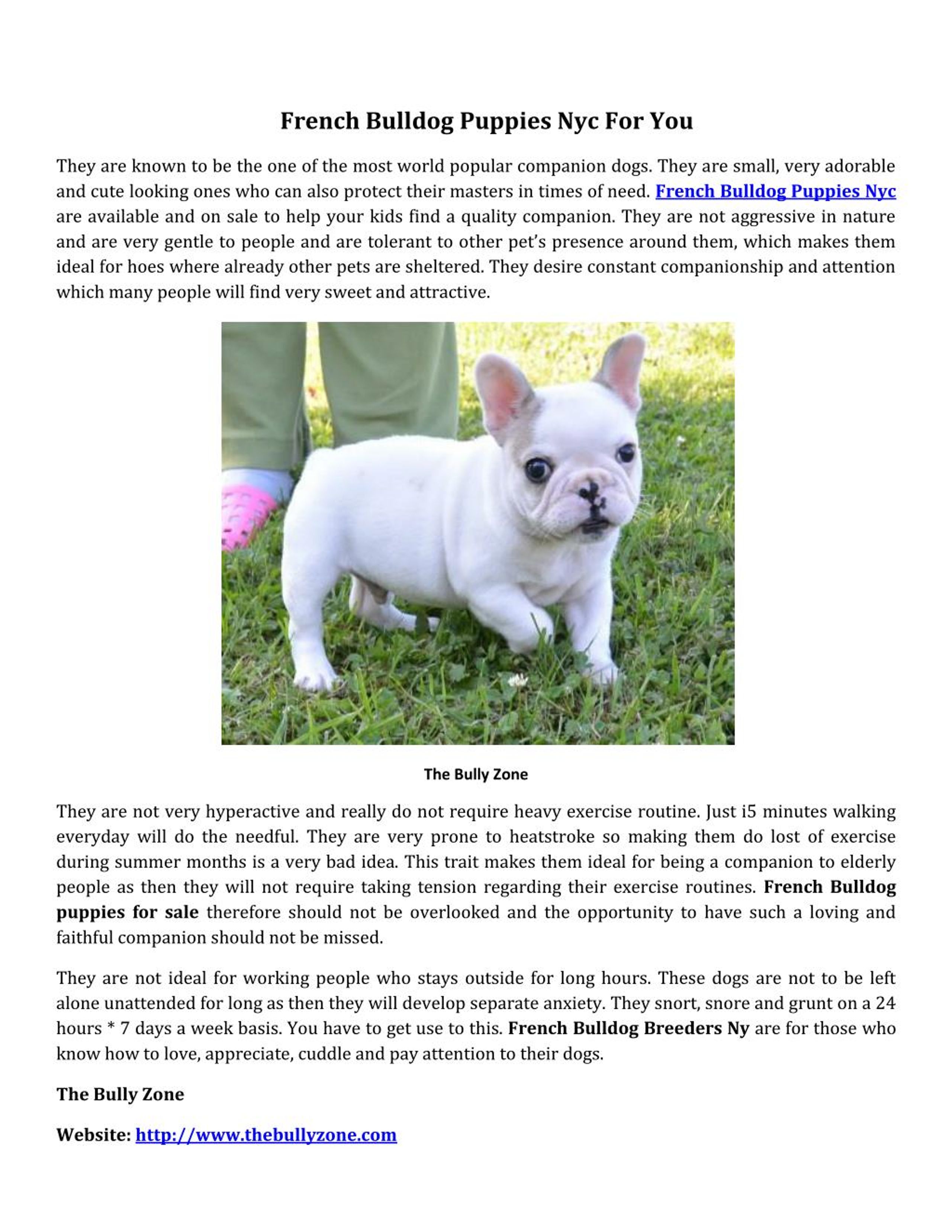 PPT French bulldog puppies nyc for you PowerPoint Presentation, free