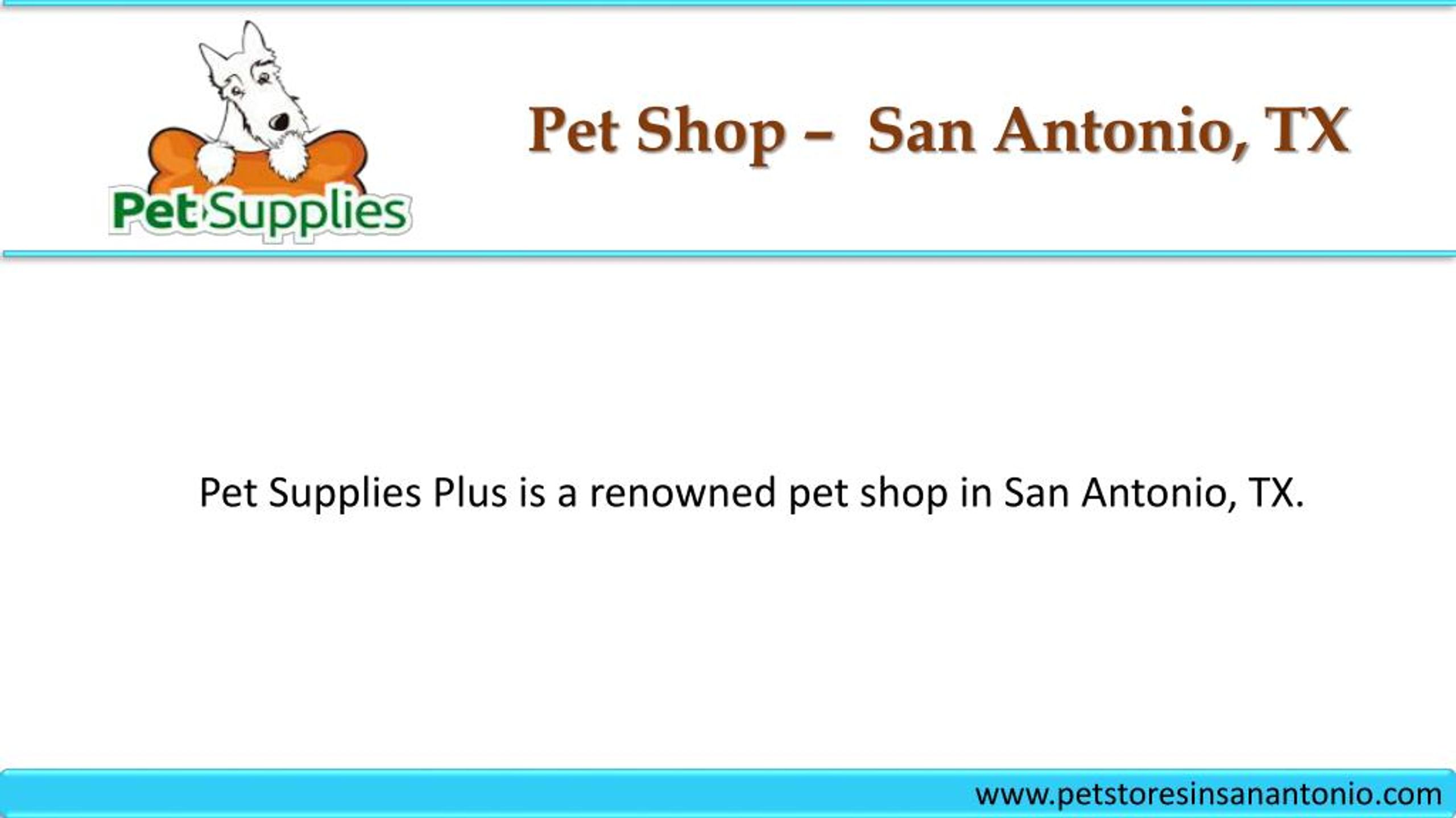 PPT Pet Shop San Antonio, TX PowerPoint Presentation, free download