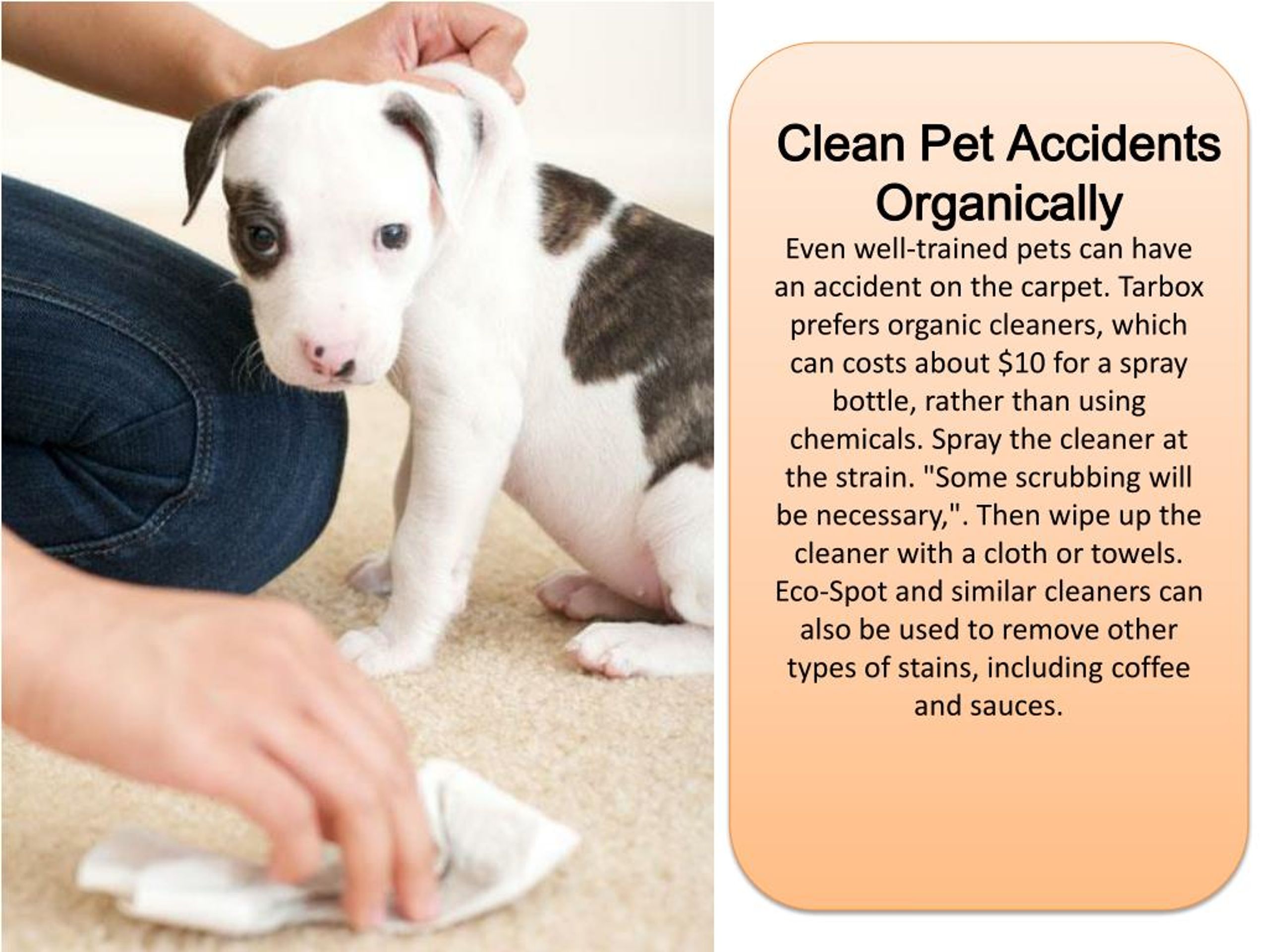 PPT Top Ryde Carpet Cleaning PowerPoint Presentation, free download