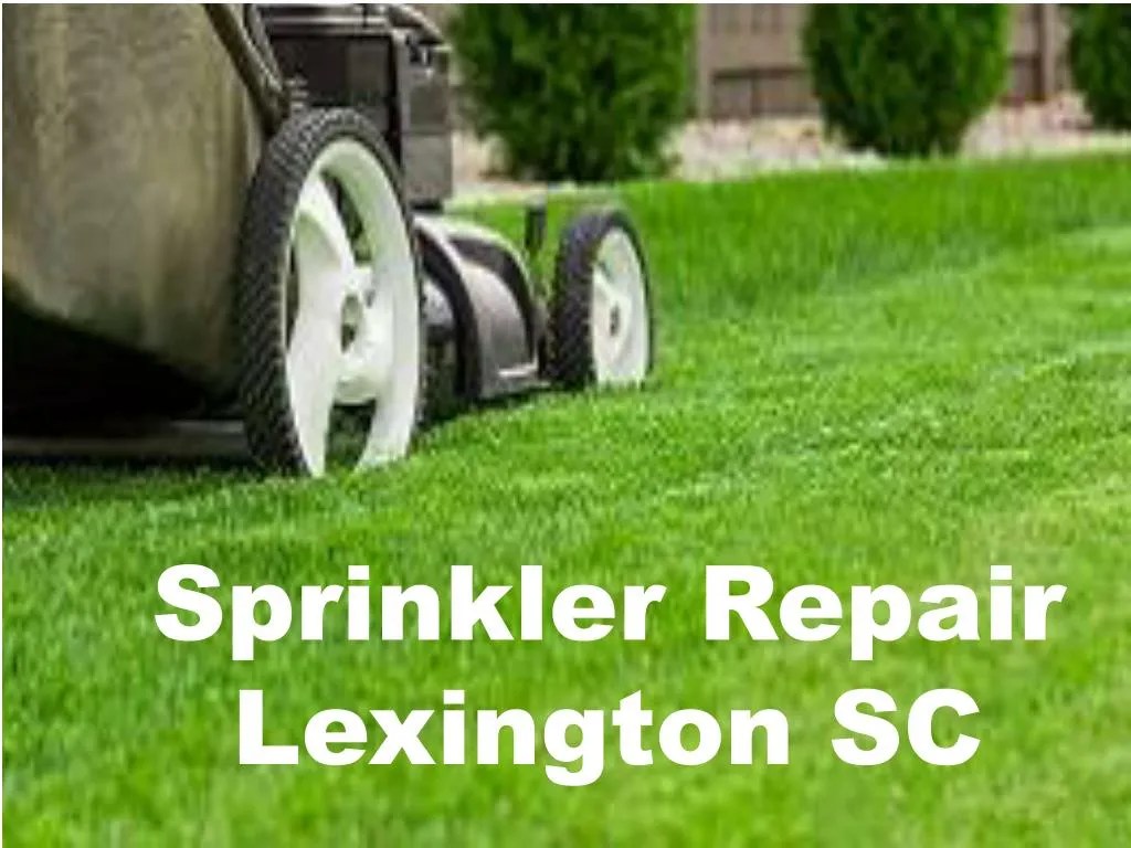 PPT Low Cost Sprinkler Repair Lexington SC PowerPoint Presentation