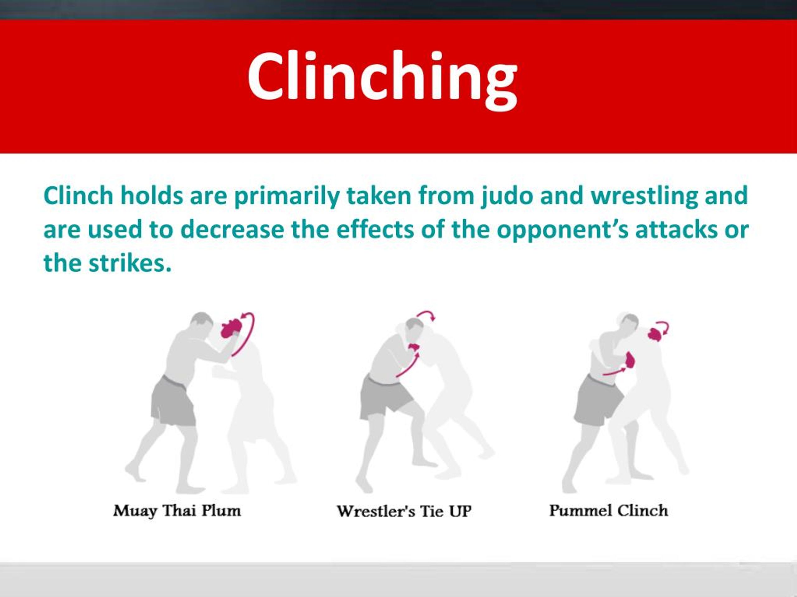 PPT Mixed Martial Art Rules & Regulation PowerPoint Presentation ID