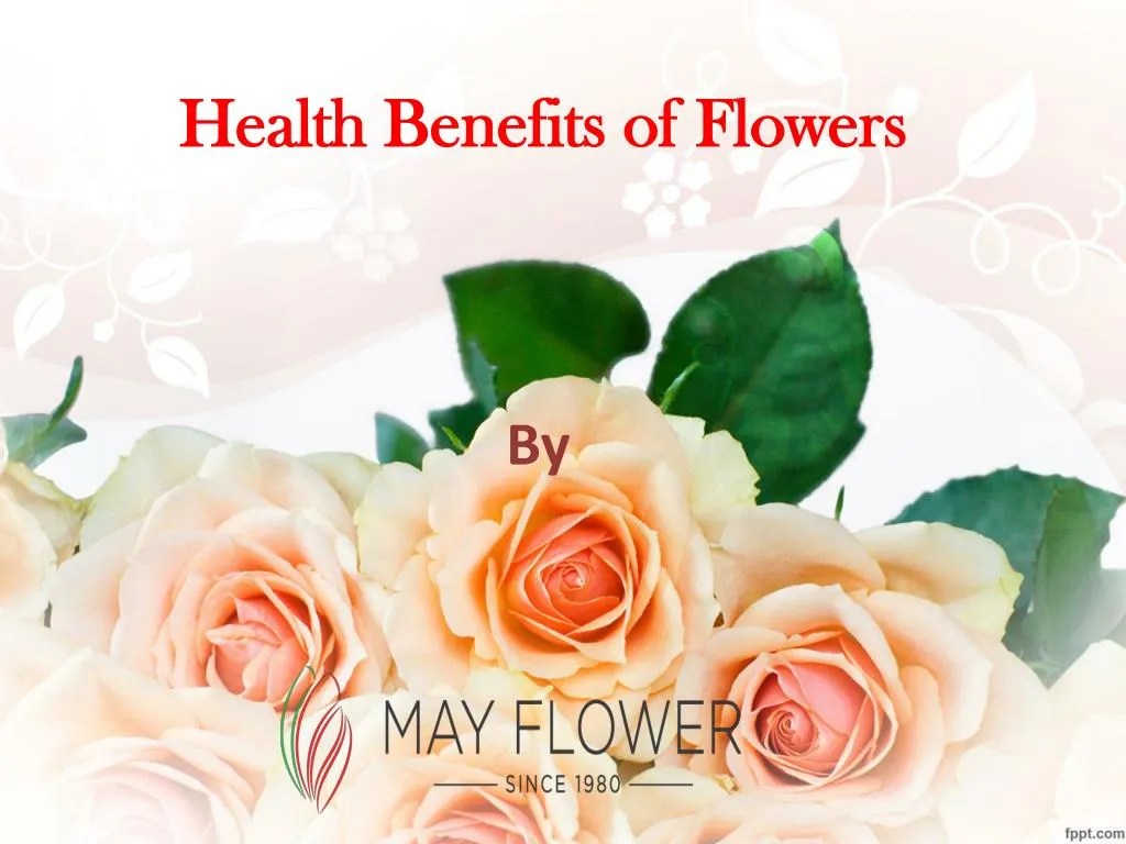 PPT Health benefits of flowers PowerPoint Presentation, free download