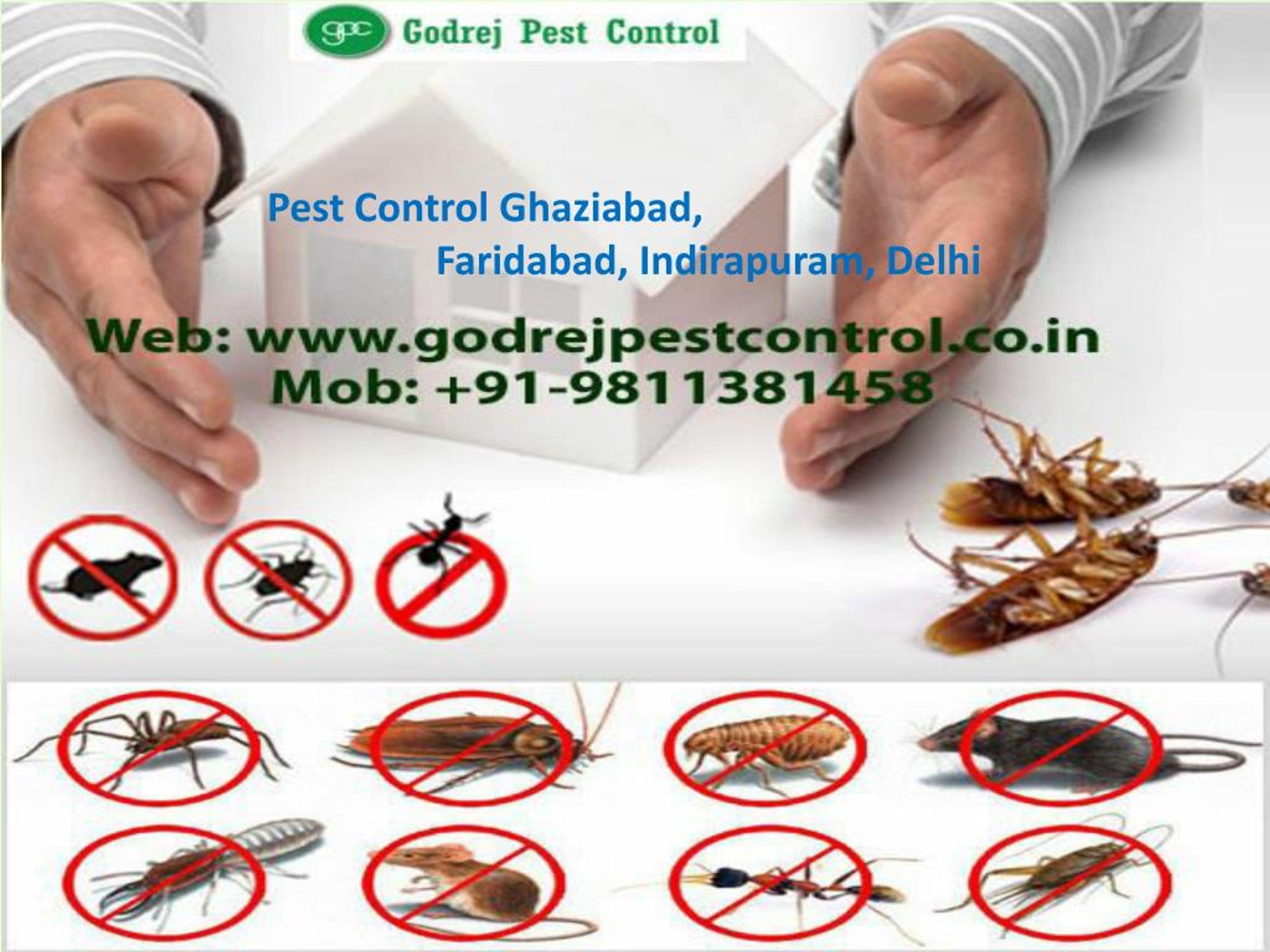 PPT Best Termite Treatment Ghaziabad by Godrej Pest Control
