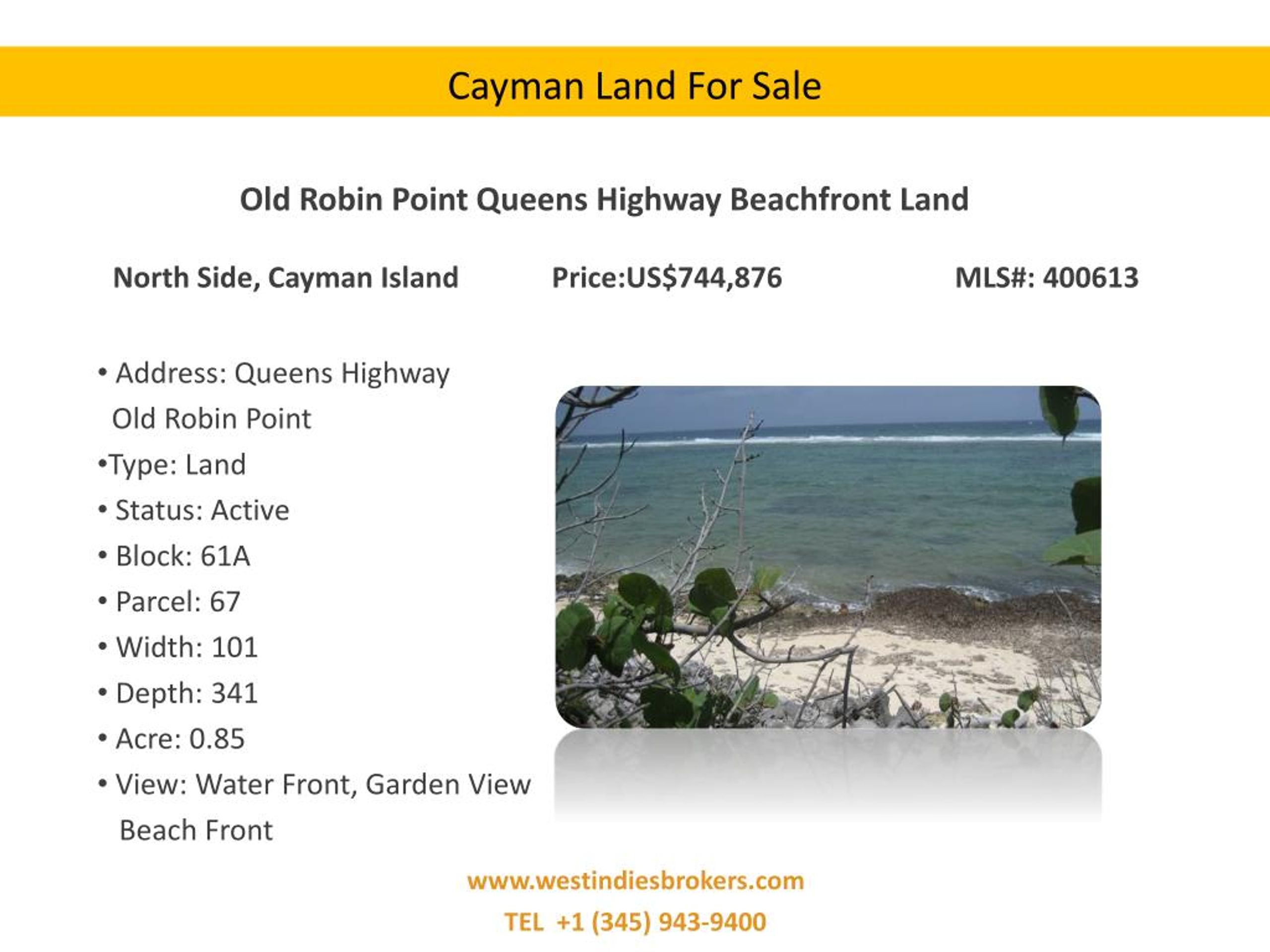 PPT Specialise in Real Estate can earn a Fortune by Dealing in Cayman