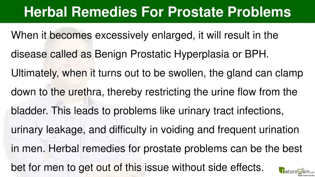 PPT Herbal Remedies For Prostate Problems, Enlarged Prostate BPH