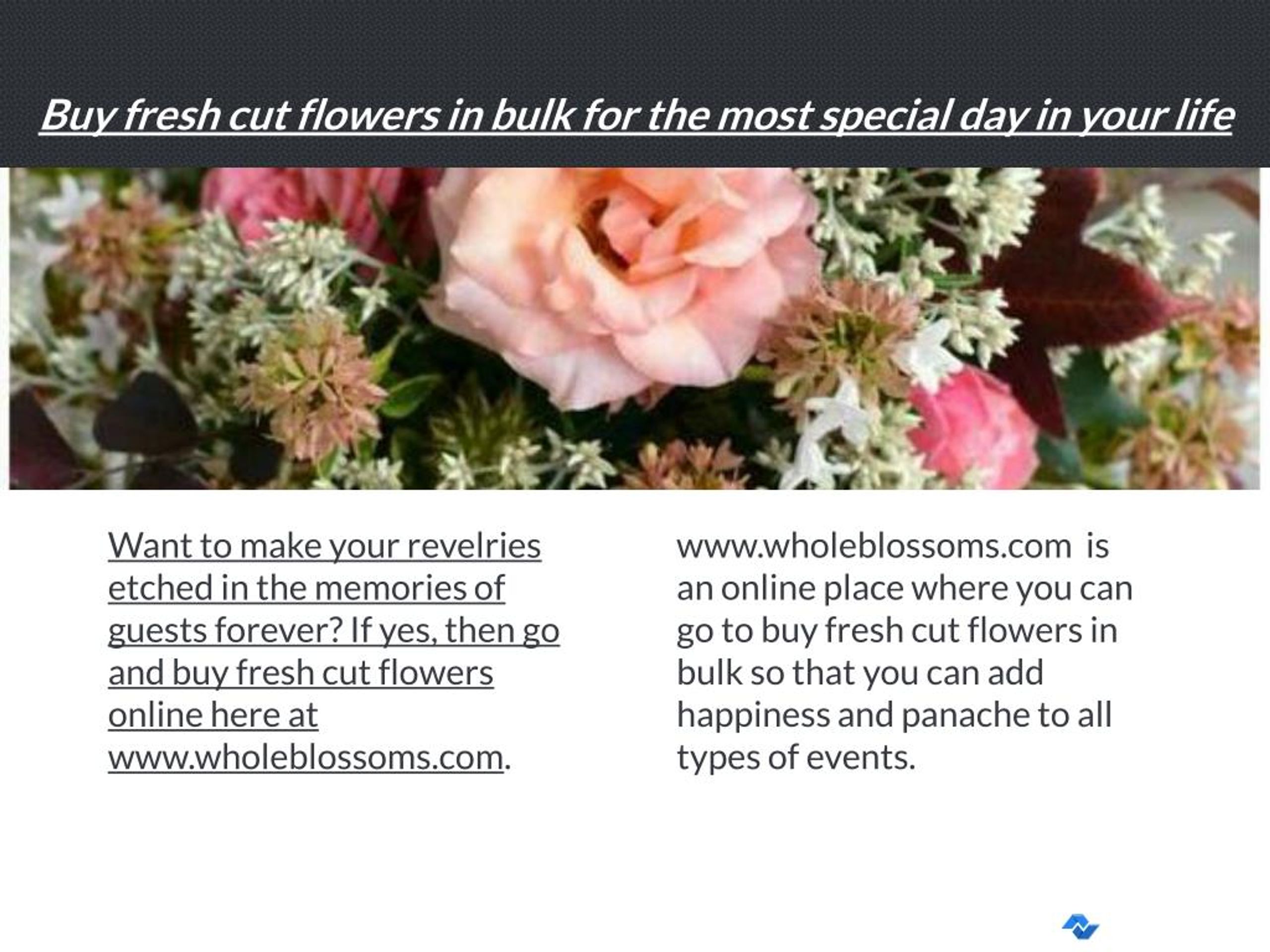 PPT Wholesale Flowers PowerPoint Presentation