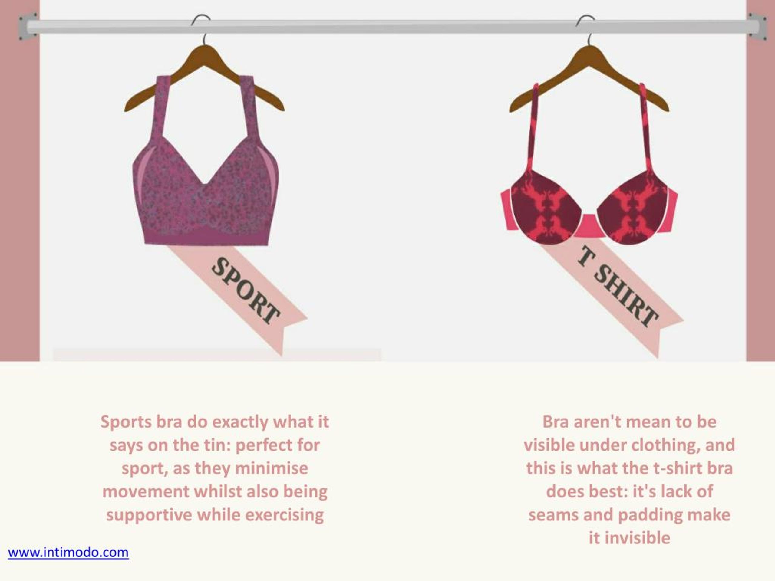 PPT The Ultimate Bra Vocabulary PowerPoint Presentation, free