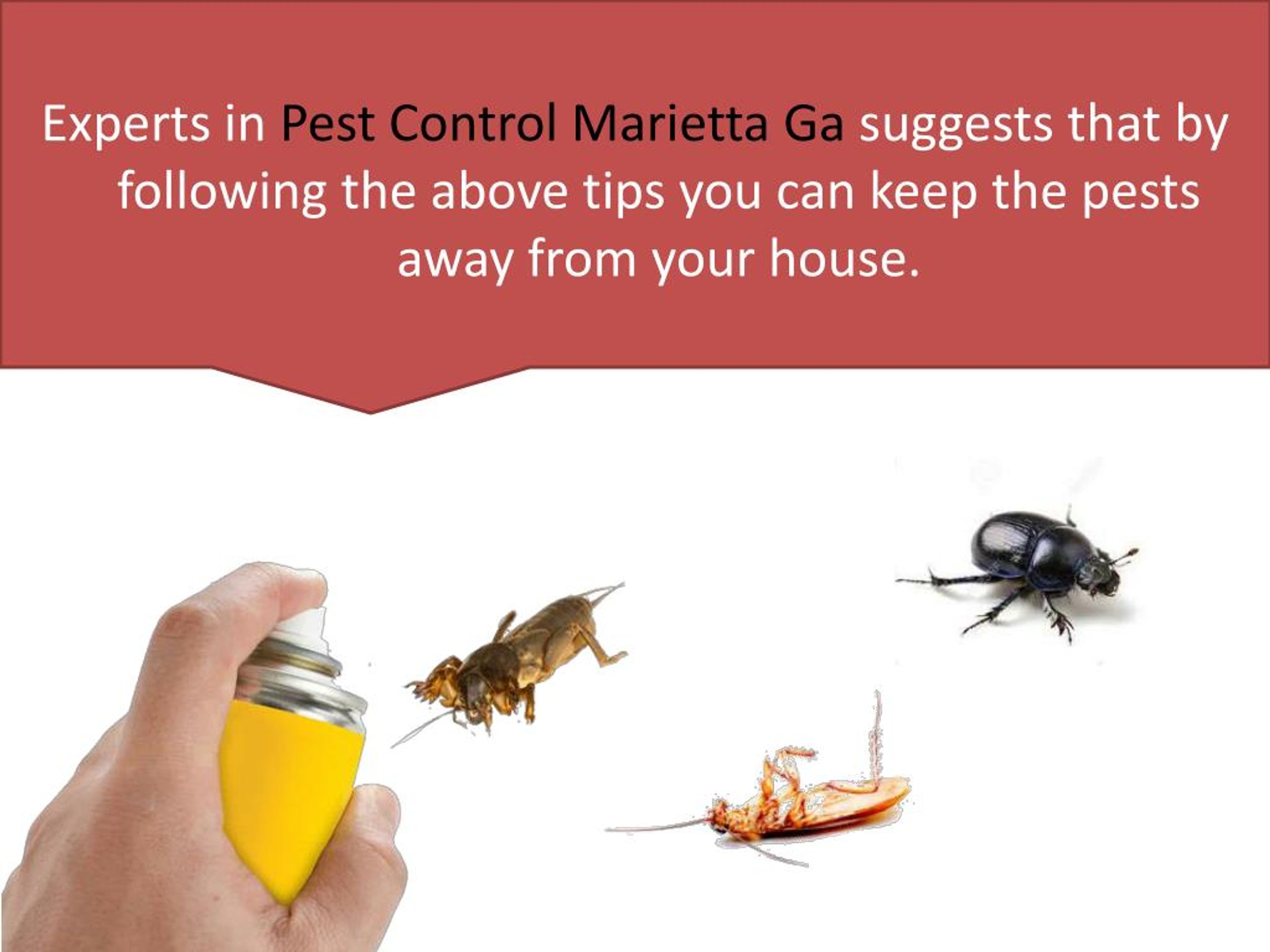 PPT Pest Control in Marietta Ga PowerPoint Presentation, free