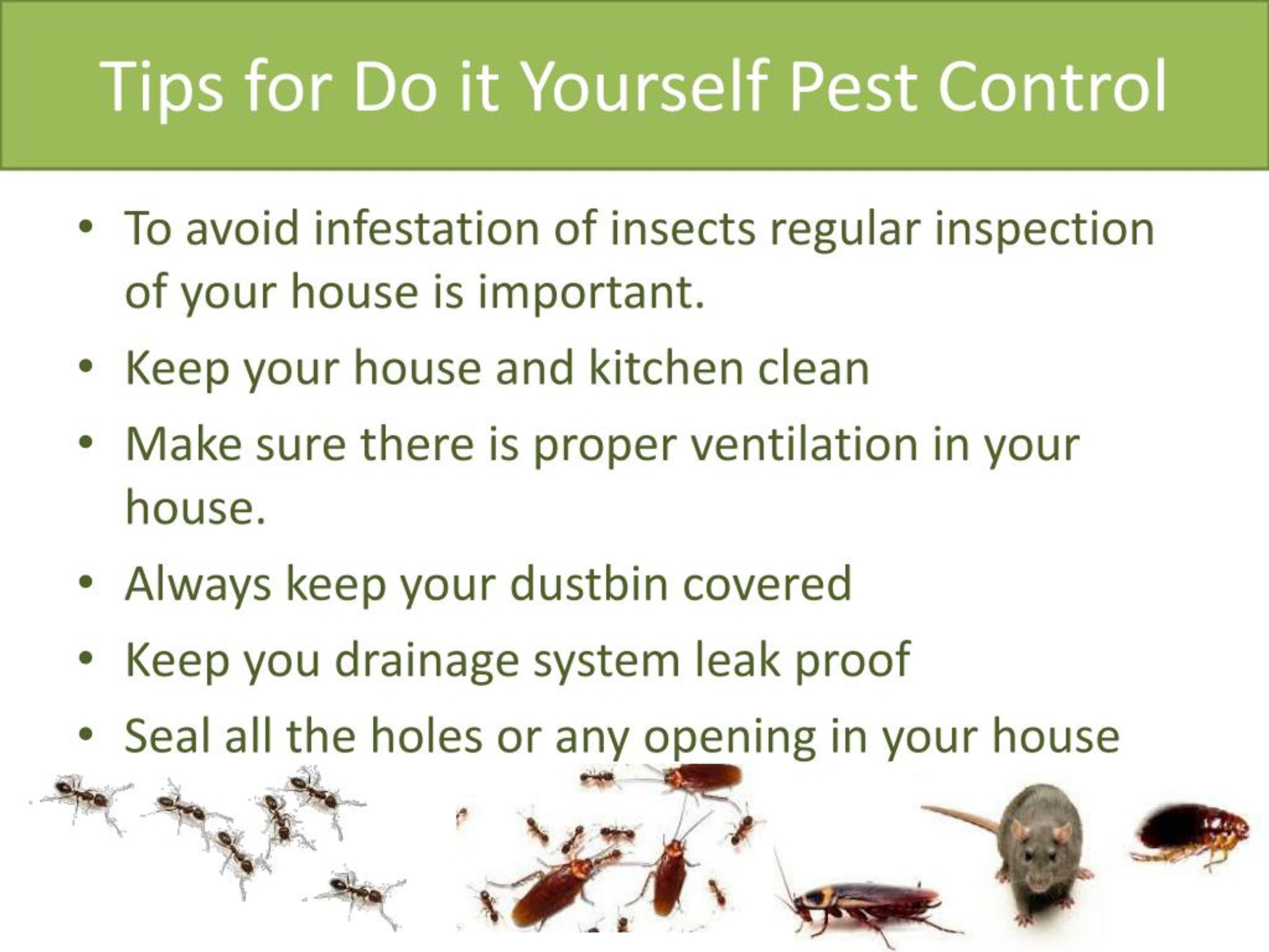 PPT Pest Control in Marietta Ga PowerPoint Presentation, free