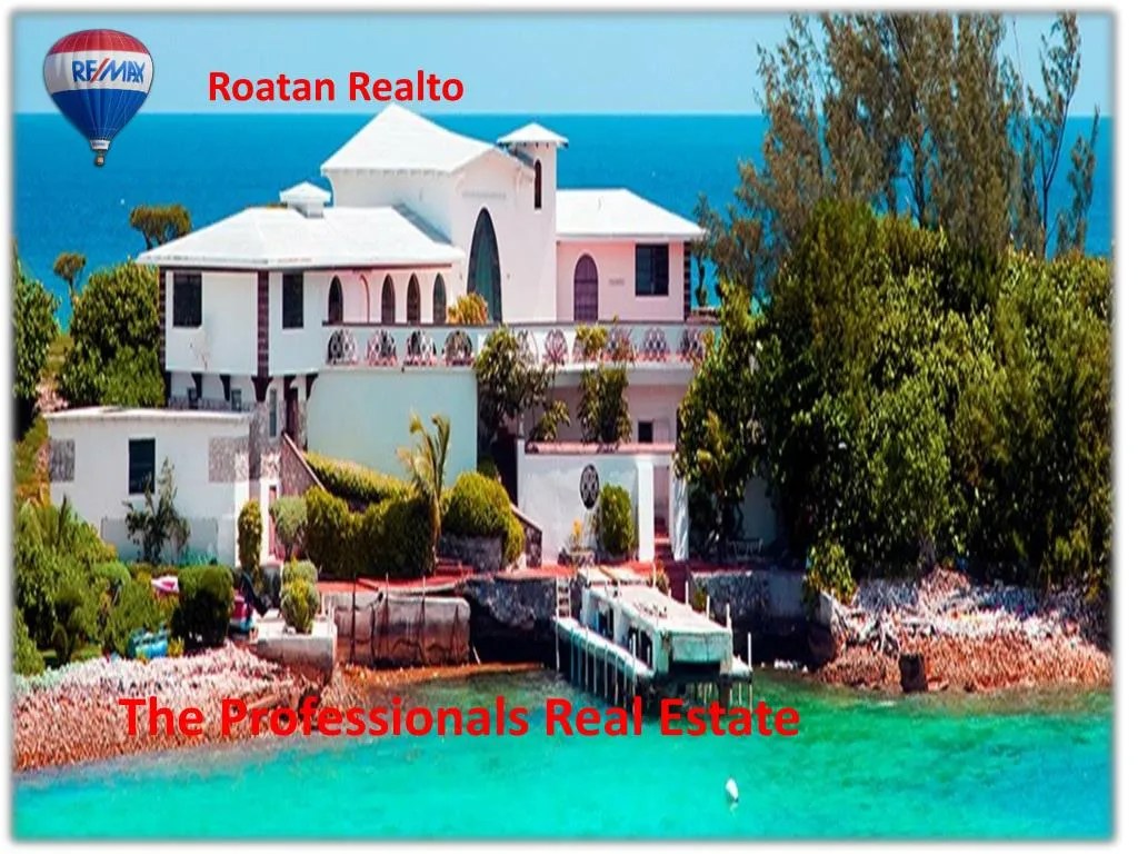 PPT The Professionals Real Estate PowerPoint Presentation, free