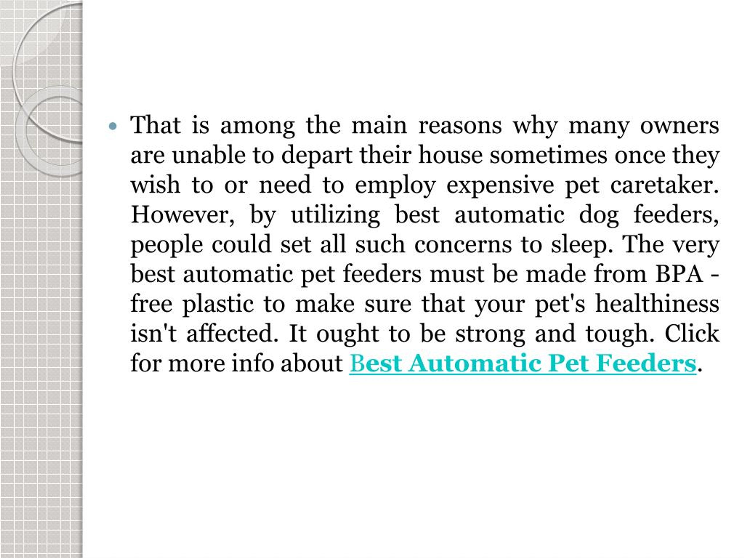 PPT Best Automatic Pet FeedersTraits of the Most Effective Models