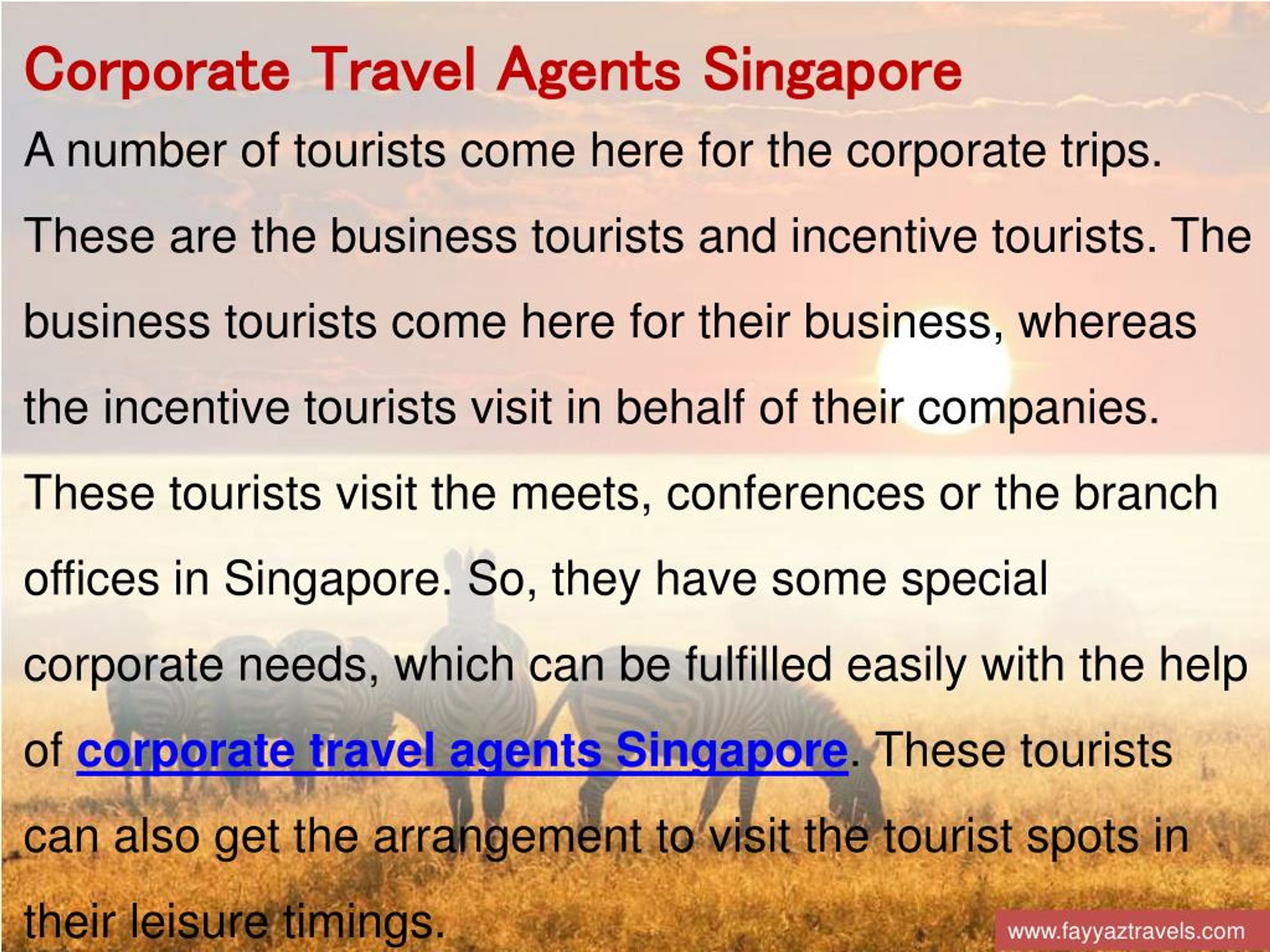 PPT Fayyaz Travel Agency Corporate Travel Agents PowerPoint