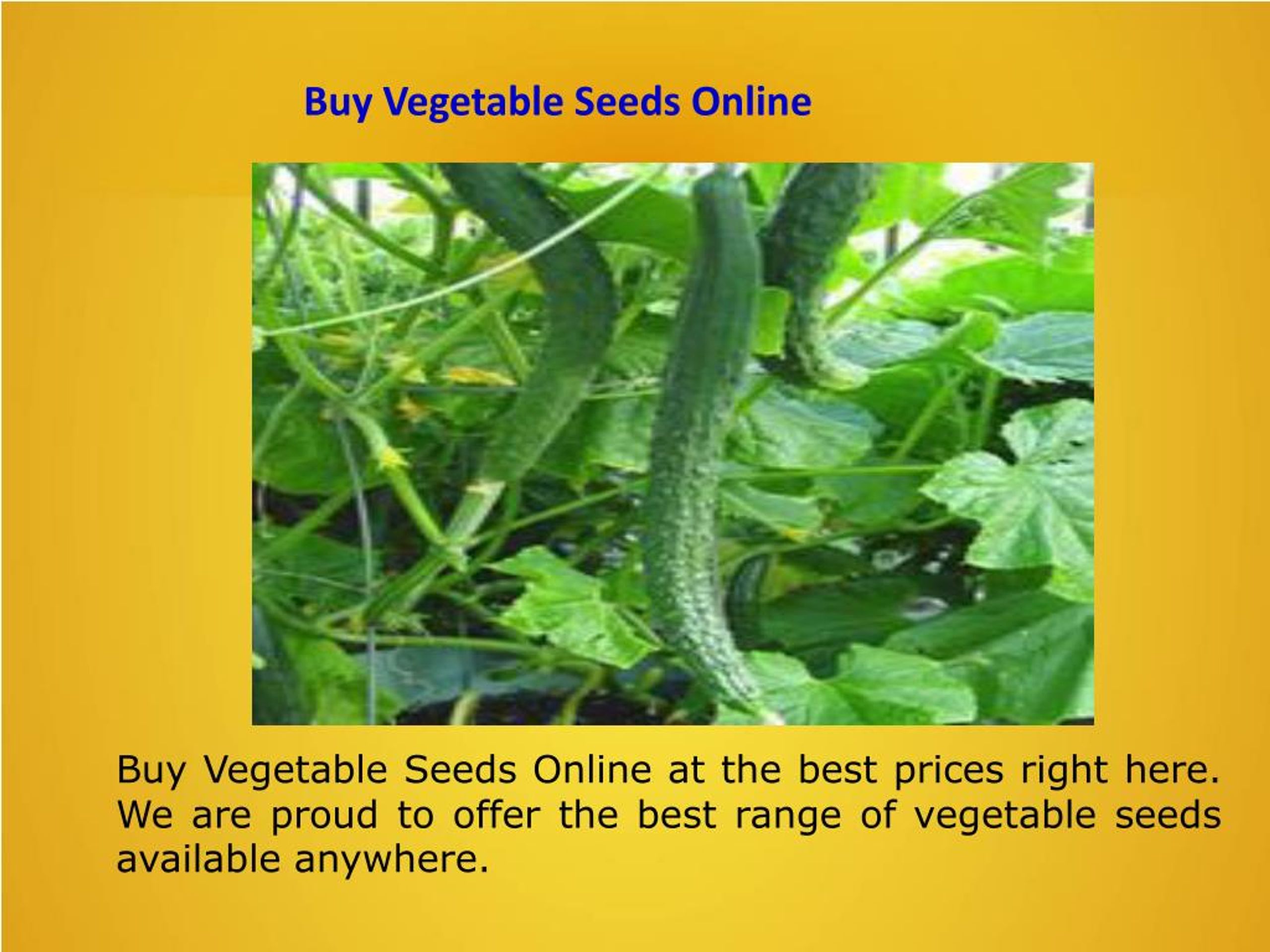 PPT NonGMO Seeds For Sale PowerPoint Presentation, free download