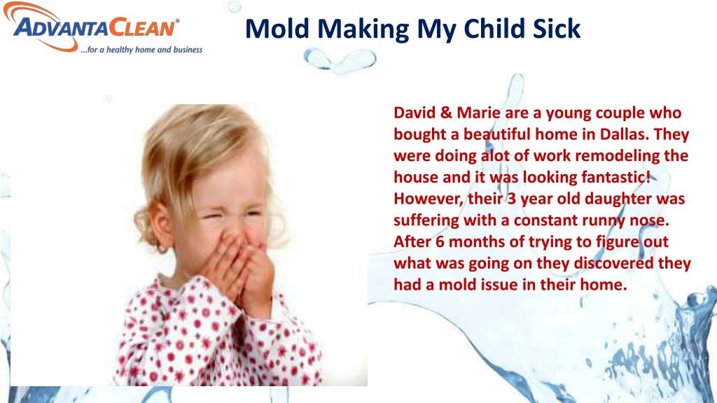 PPT Mold Remediation Water Air Mold PowerPoint Presentation ID