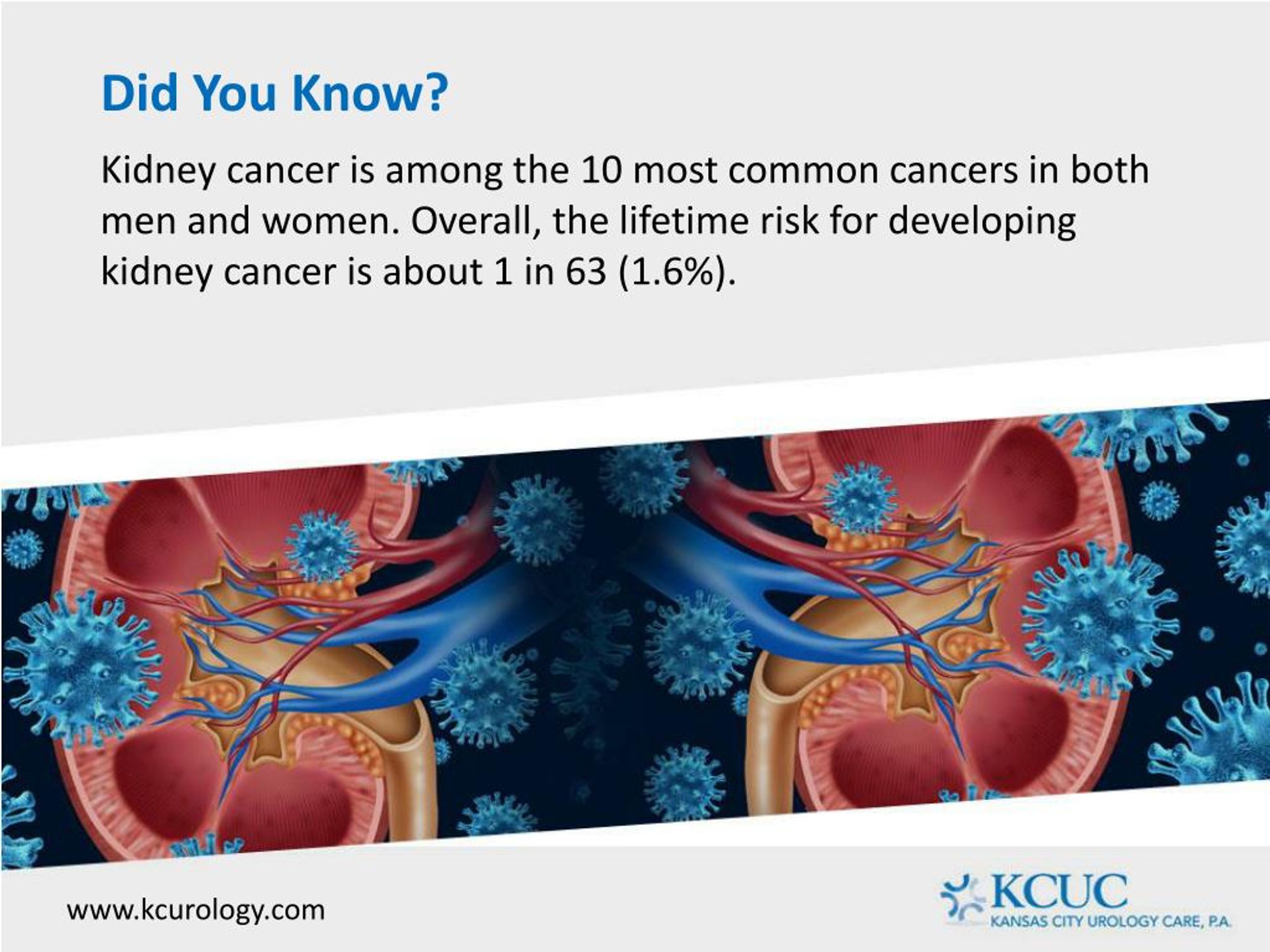 PPT Cancer of the Kidney Risk Factors PowerPoint Presentation, free
