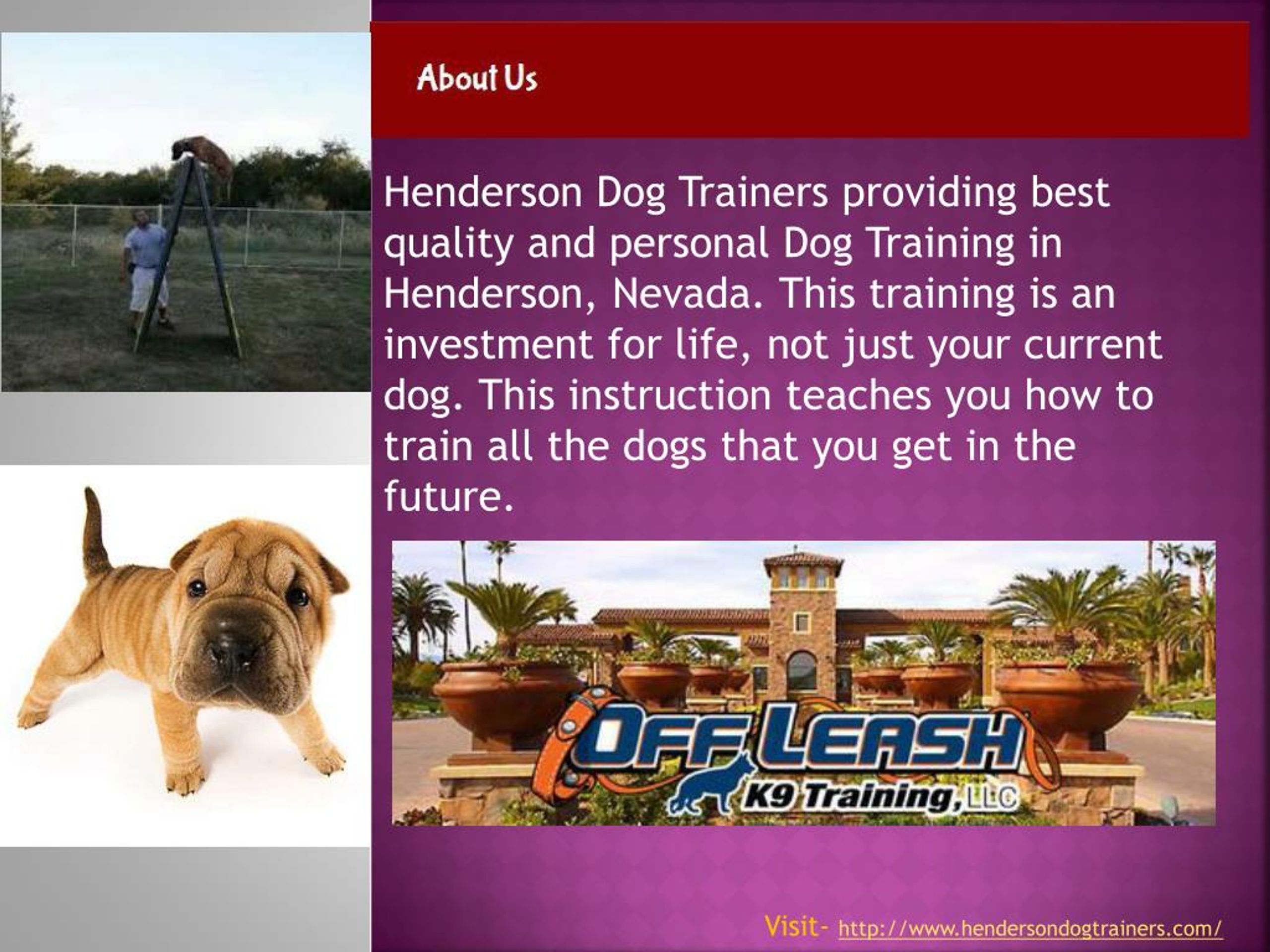 PPT Best Dog Trainers in Henderson PowerPoint Presentation, free download ID7444366