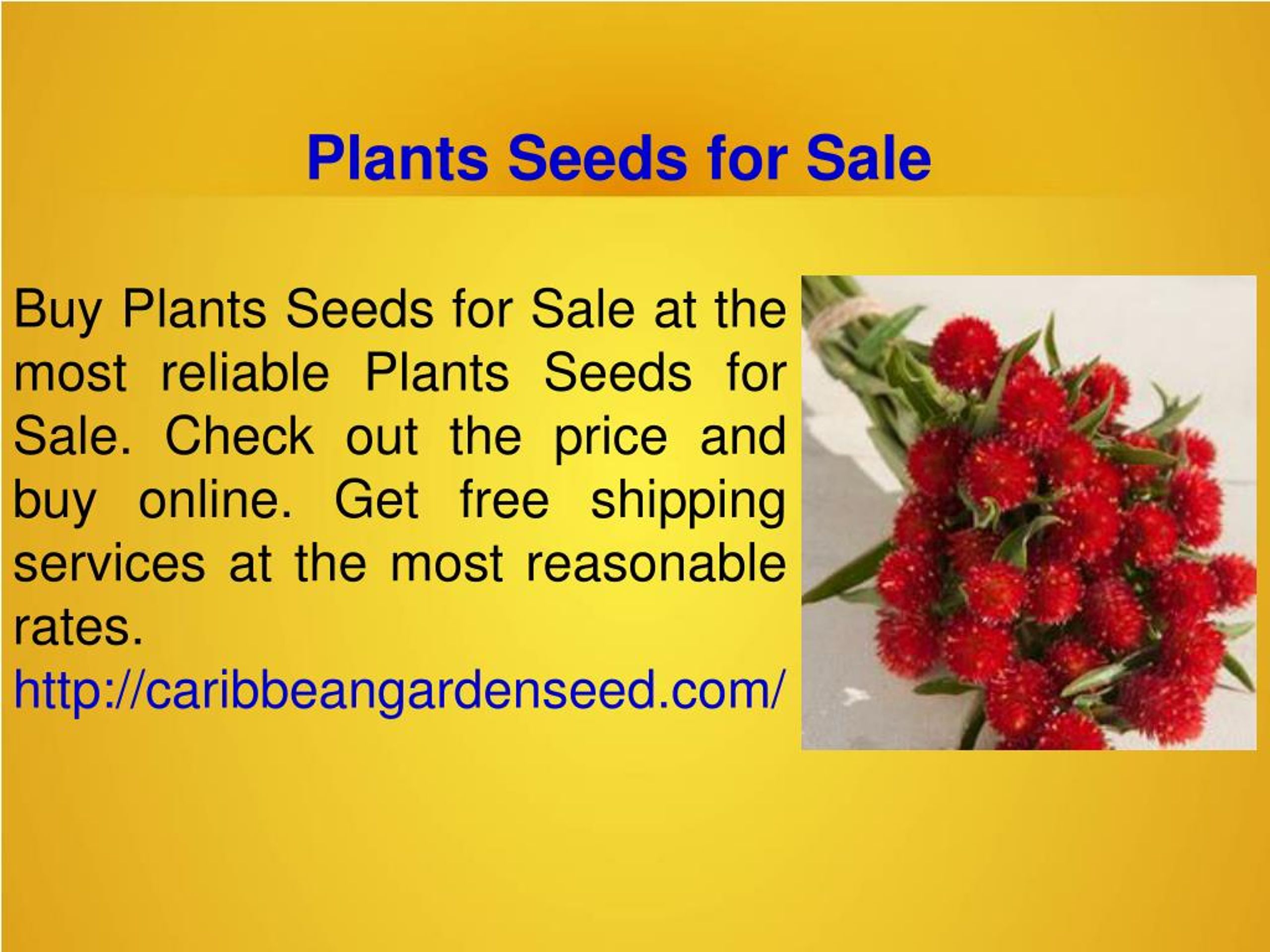 PPT NonGMO Seeds For Sale PowerPoint Presentation, free download