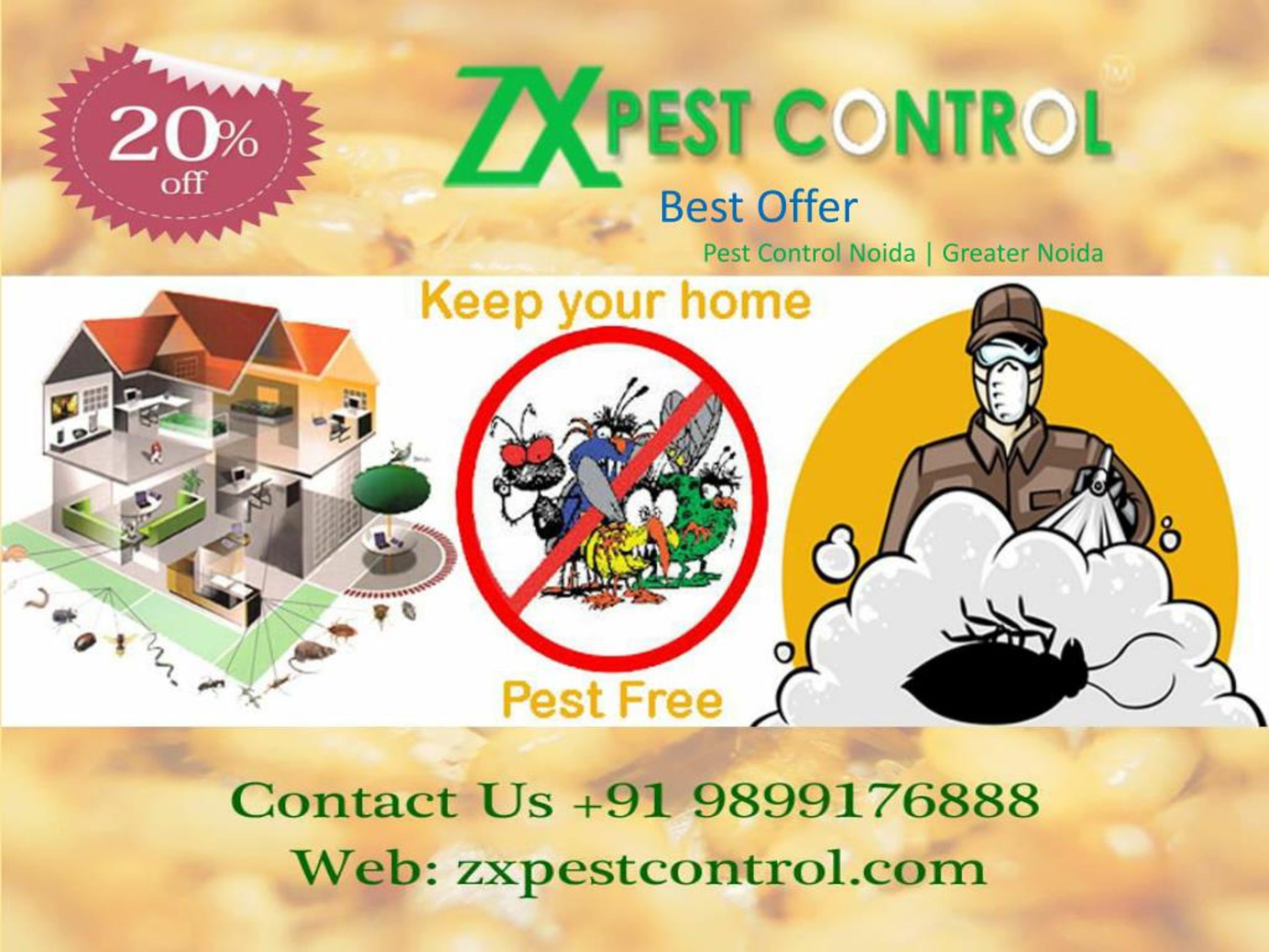 PPT Affordable Cost Pest Control Noida Call 9899176888 PowerPoint