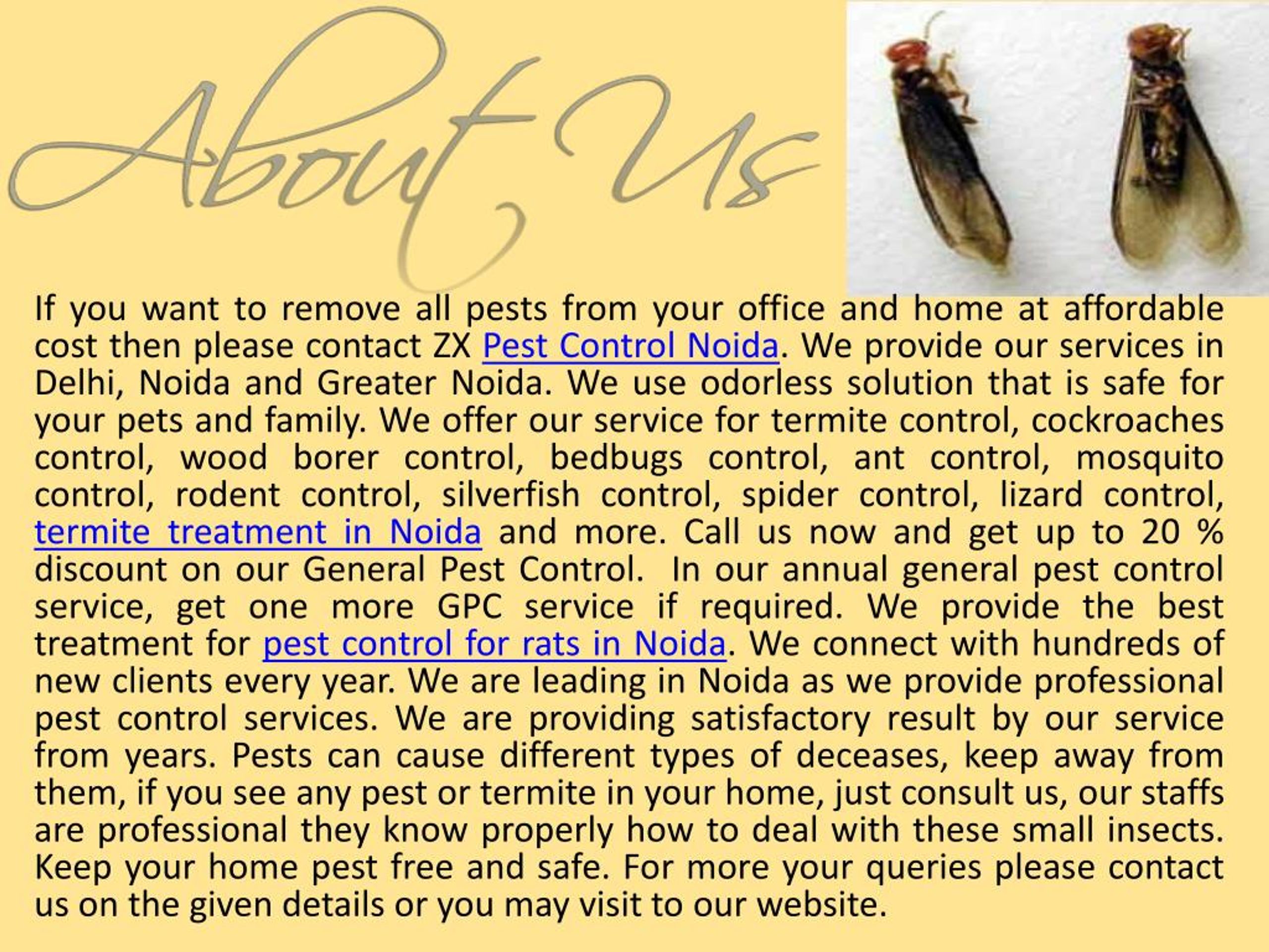 PPT Affordable Cost Pest Control Noida Call 9899176888 PowerPoint