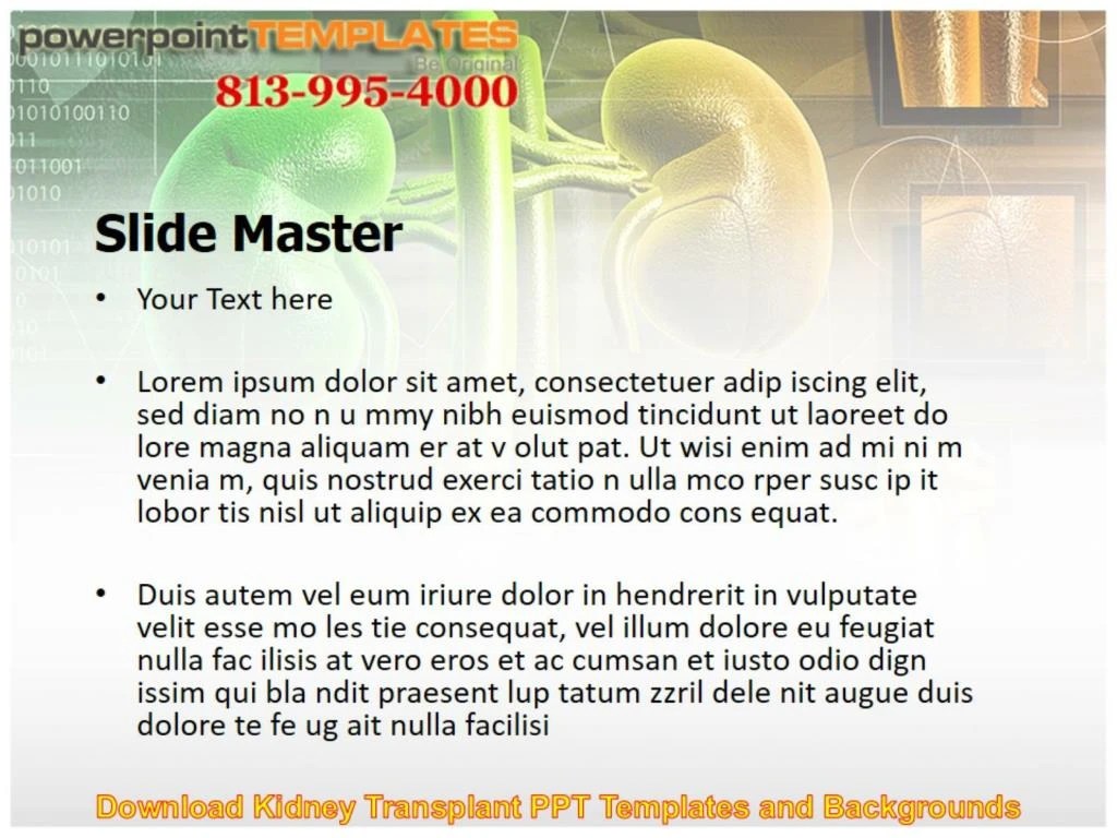 PPT Download Kidney Transplant PPT Templates and Backgrounds