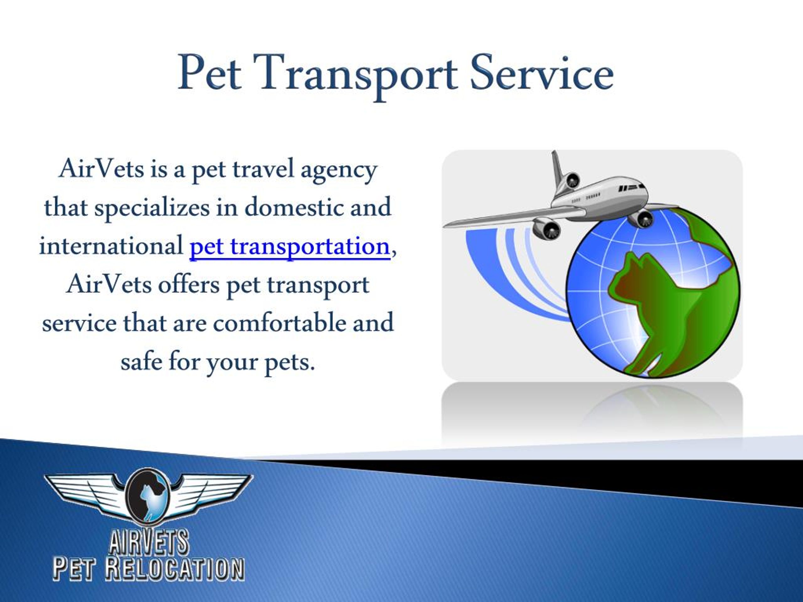 PPT Pet Transport Service PowerPoint Presentation, free download ID7449748