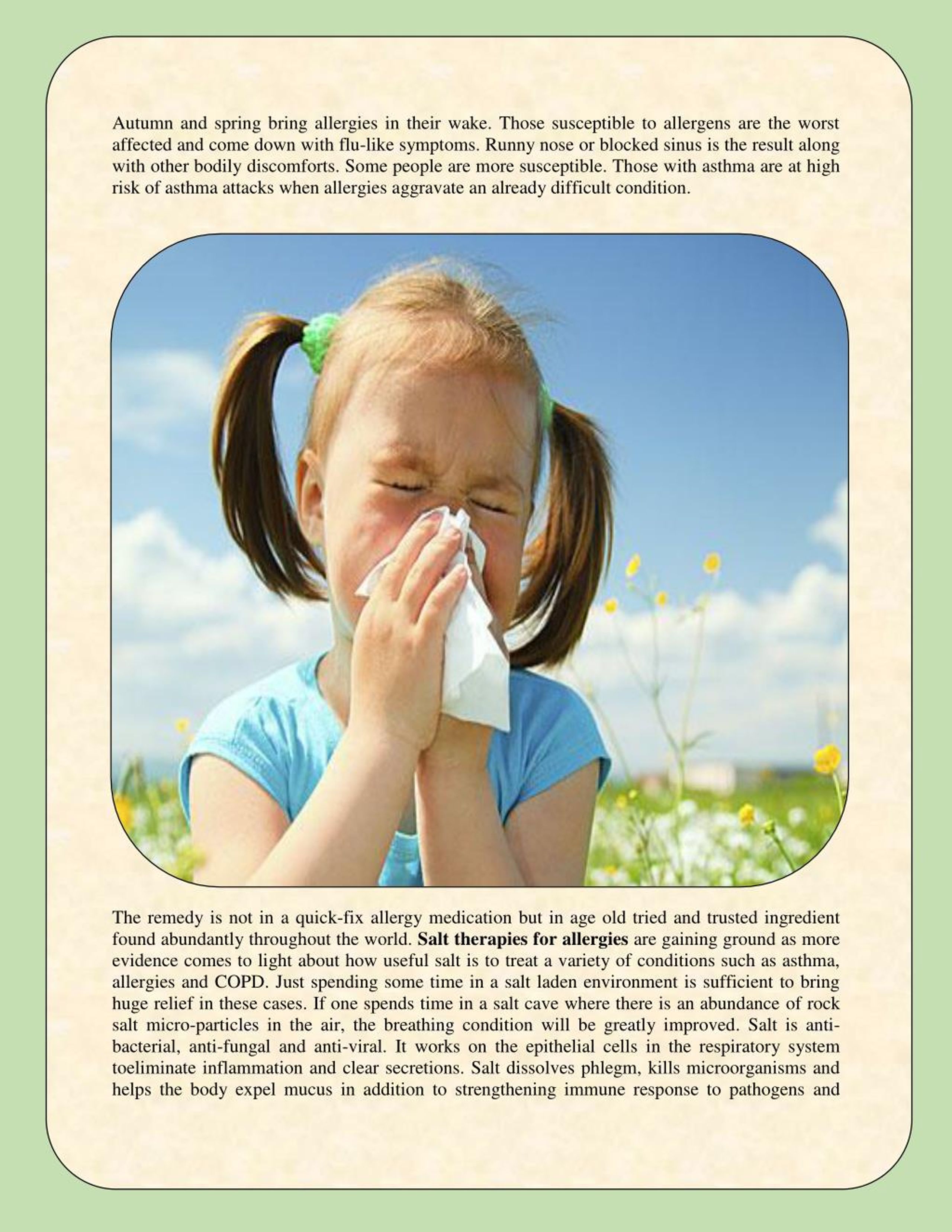 PPT Salt Therapy for Allergies That You Can Try At Home PowerPoint Presentation ID7452342