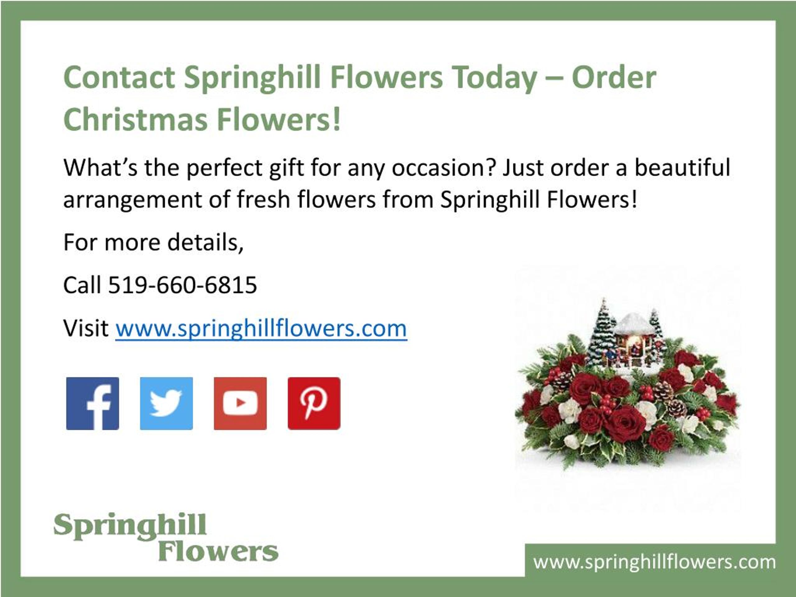 PPT Different Types of Christmas Flowers PowerPoint Presentation