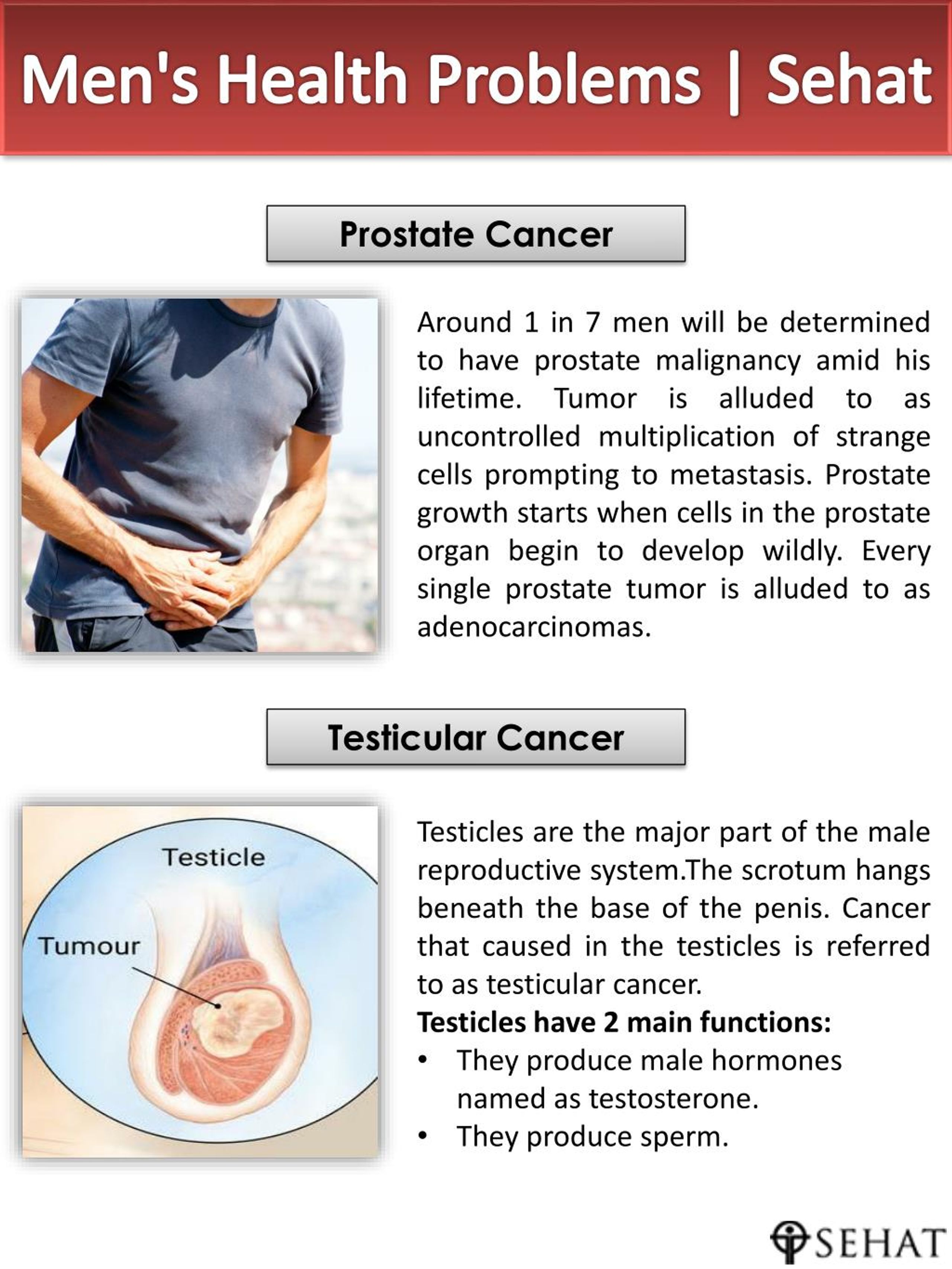 PPT Men's Health Problems Sehat PowerPoint Presentation, free