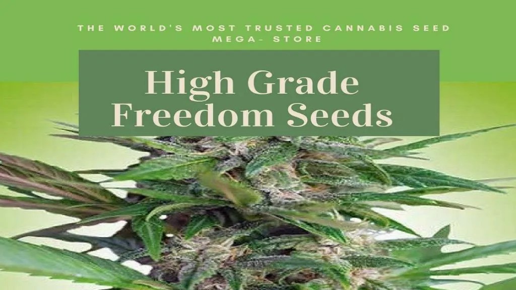 PPT High Grade Freedom seeds PowerPoint Presentation, free download