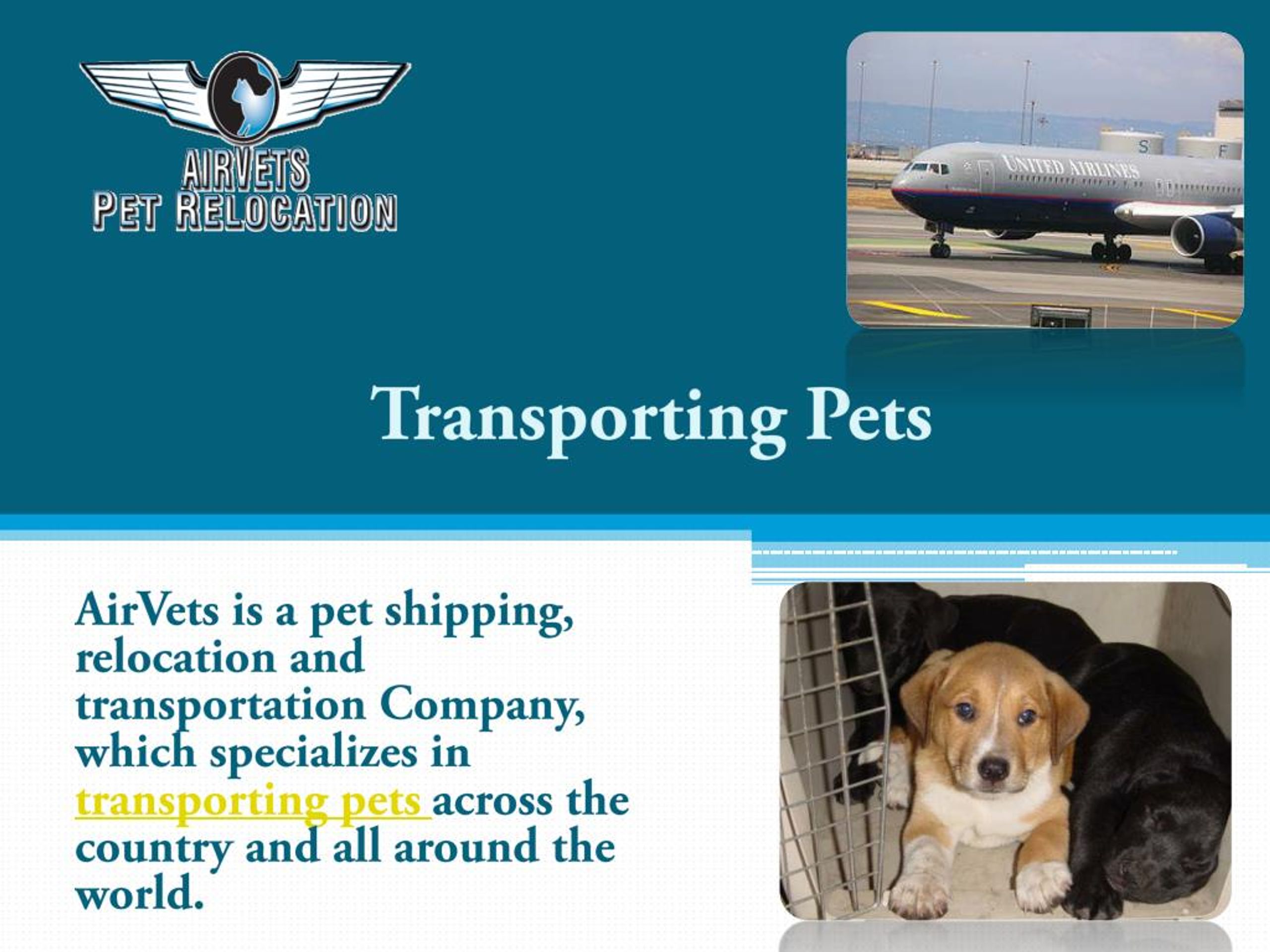 PPT Pet Moving Services PowerPoint Presentation, free download ID