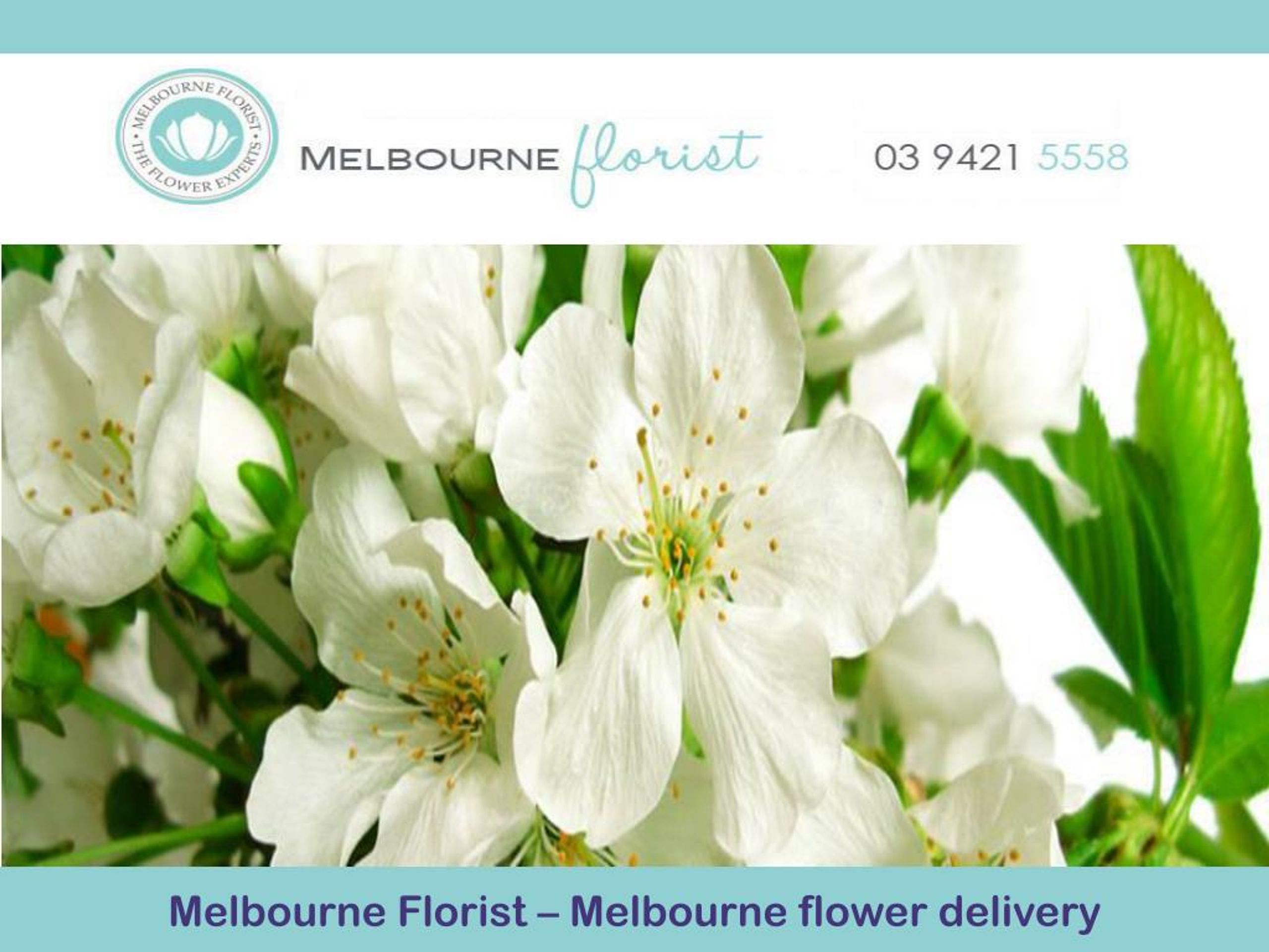 PPT Melbourne Florist Melbourne flower delivery PowerPoint