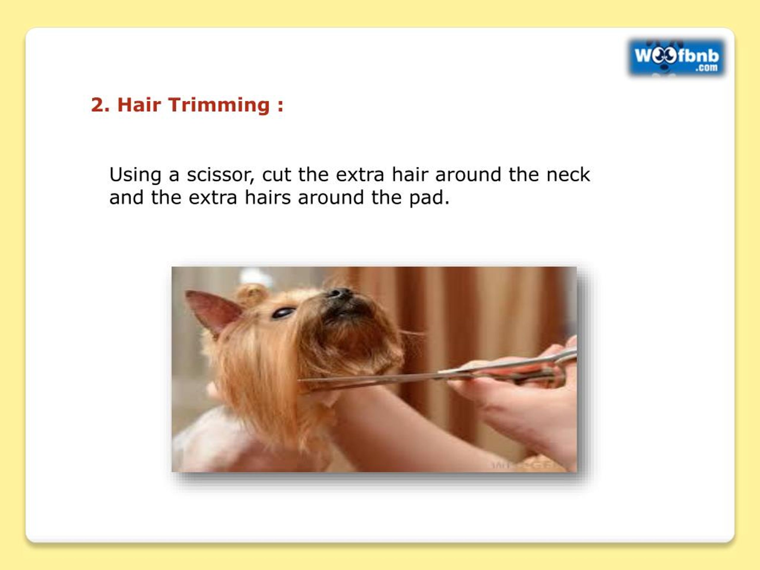 PPT Pet Grooming Services in Pune PowerPoint Presentation, free
