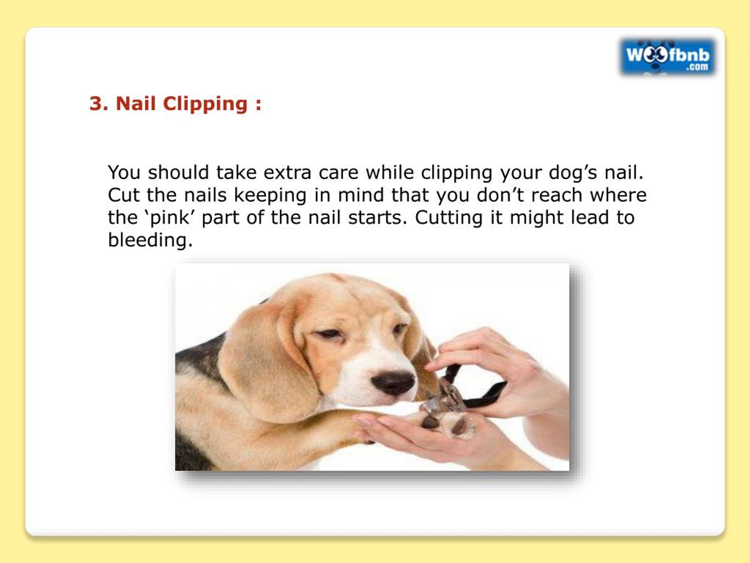PPT Pet Grooming Services in Pune PowerPoint Presentation, free