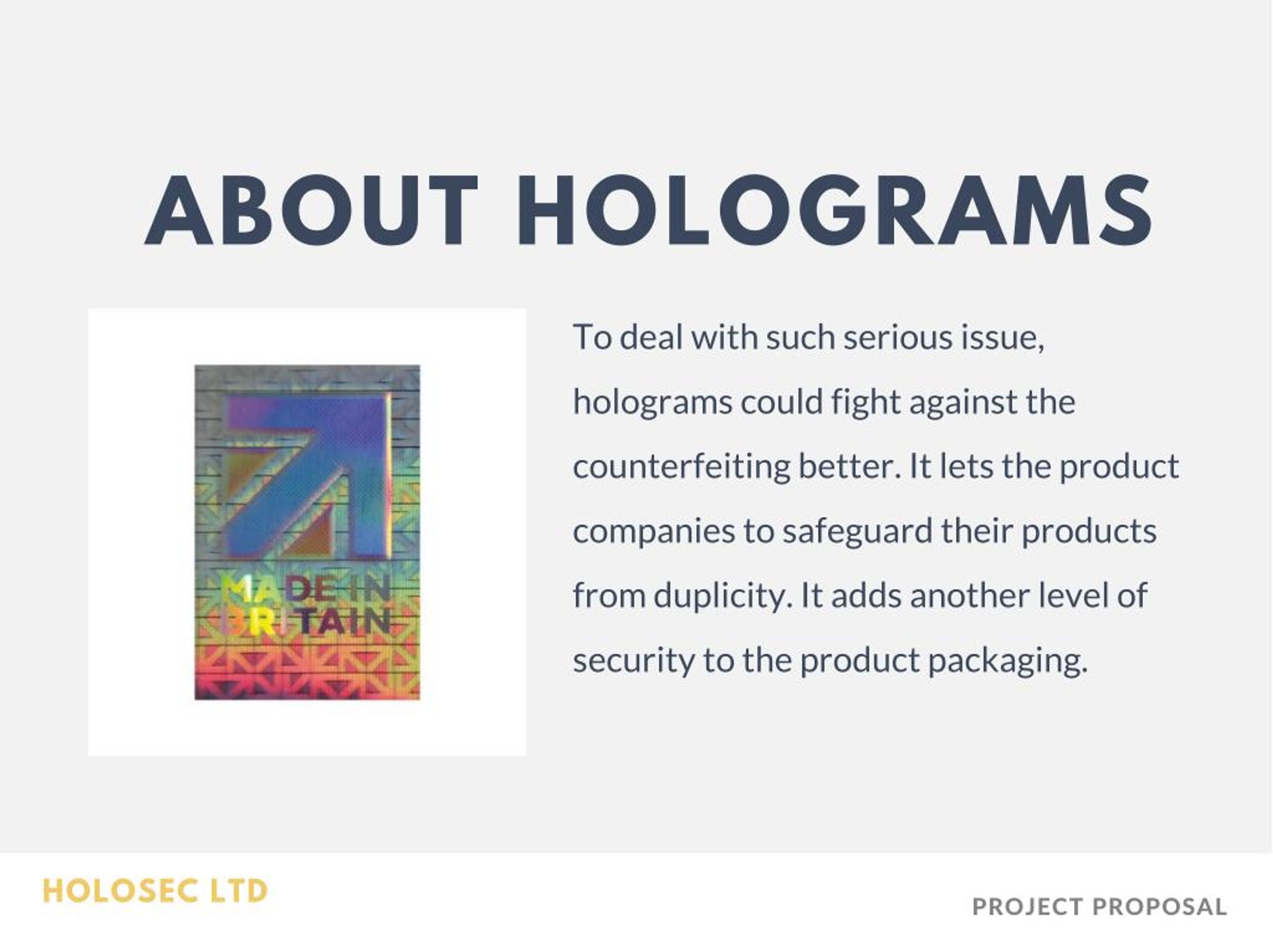 PPT Security holograms from HoloSec PowerPoint Presentation, free download ID7479410