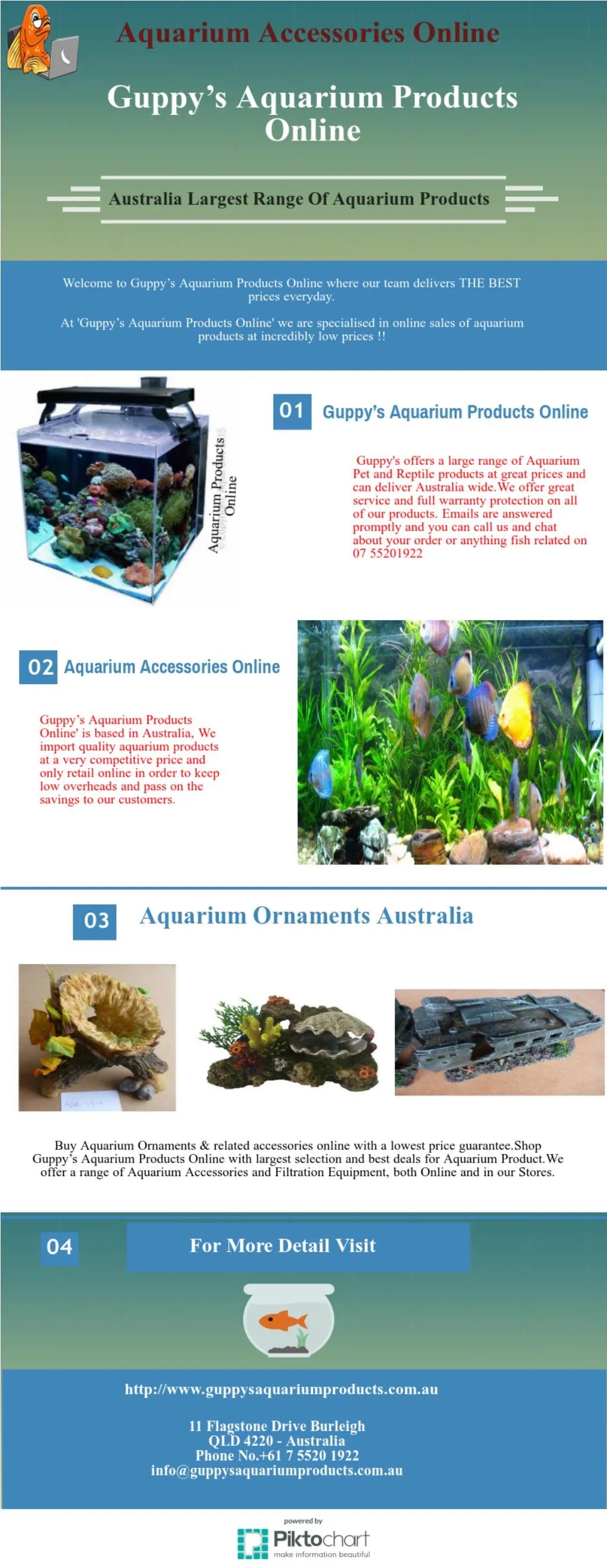 PPT Order Aquarium Accessories Online In Australia PowerPoint Presentation ID7482749