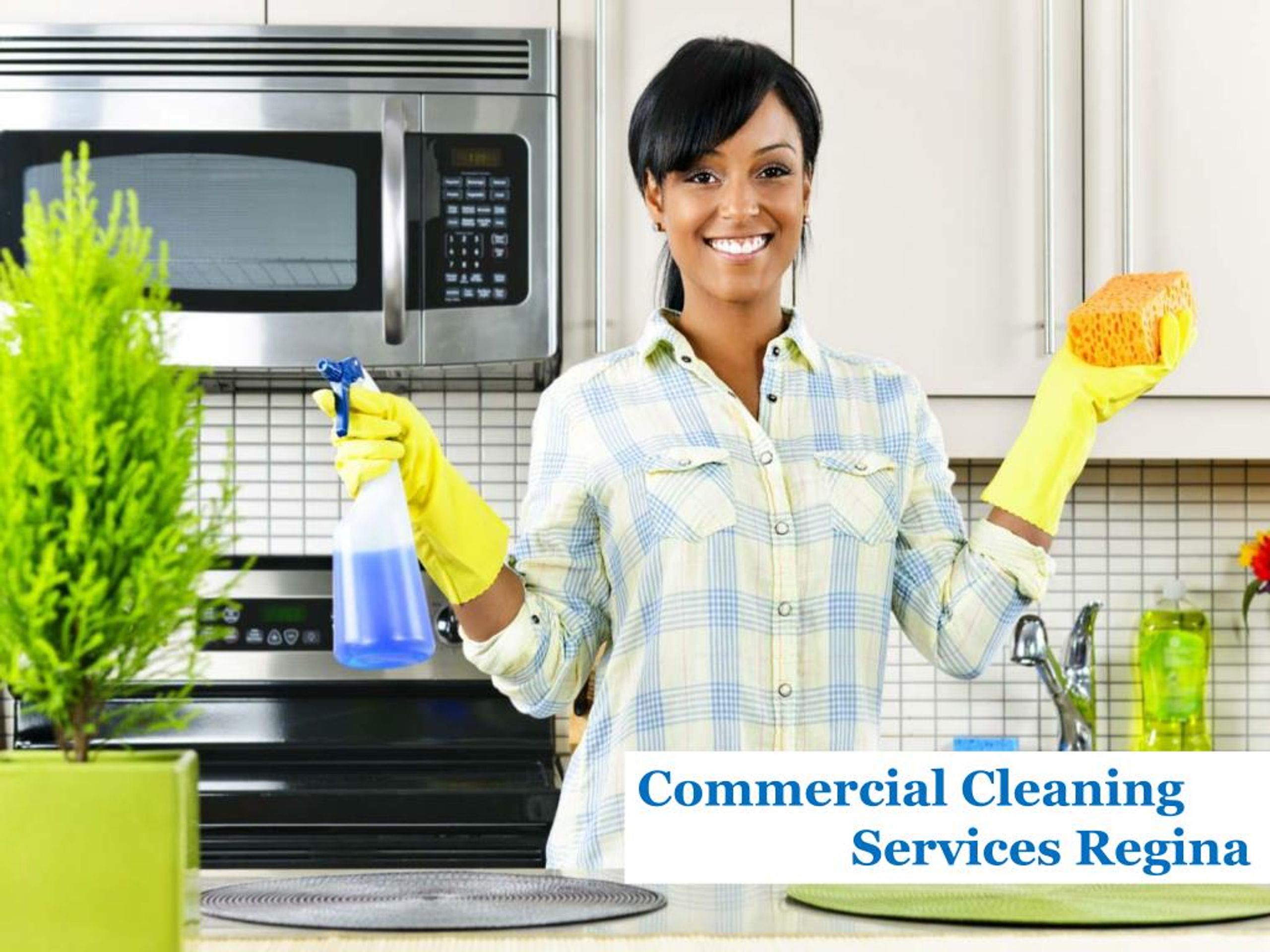 PPT ProMaids PowerPoint Presentation, free download ID7483187