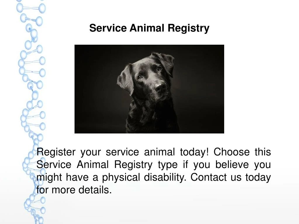PPT USA Service Dogs Registry PowerPoint Presentation ID7486650